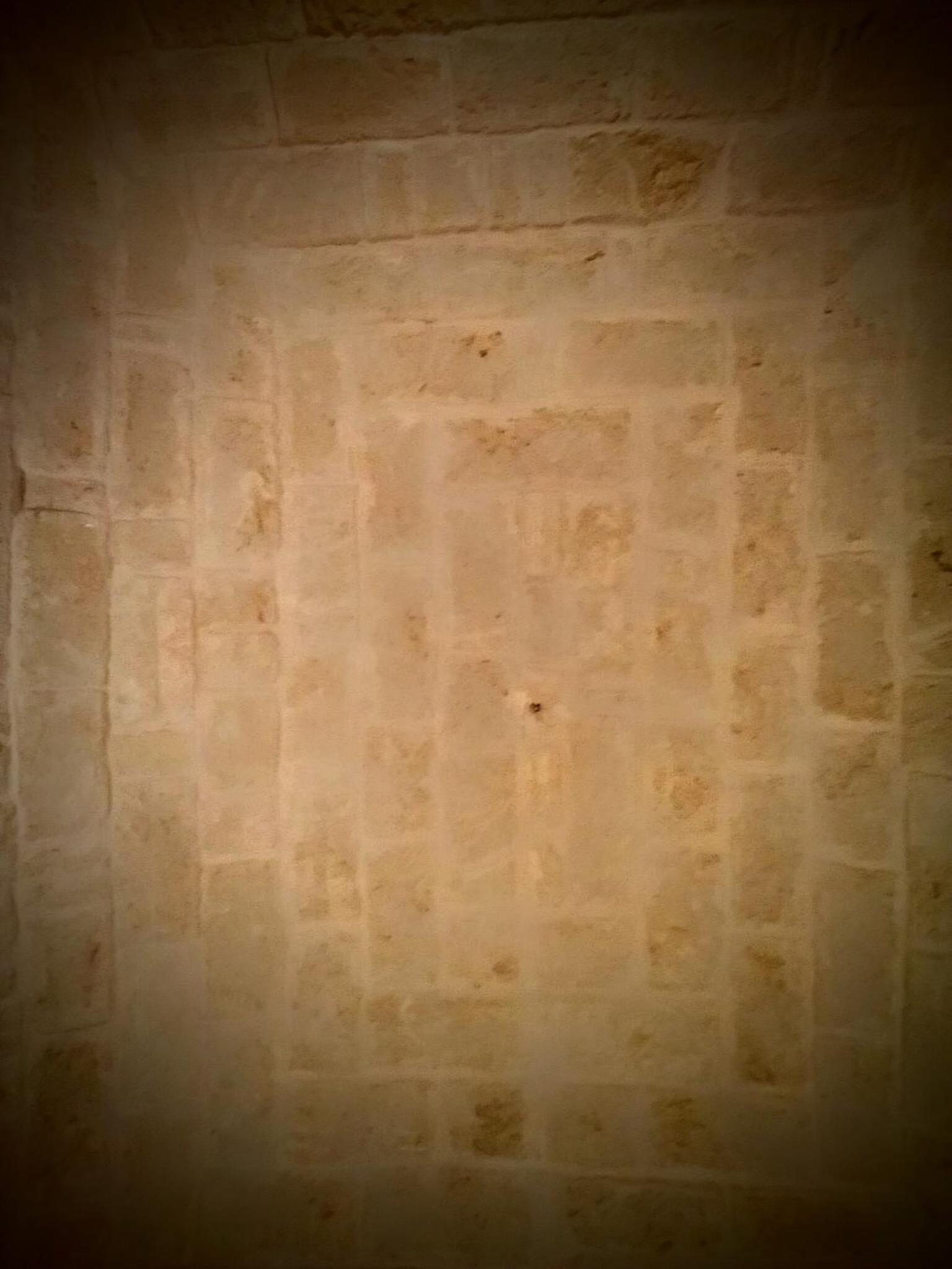Photo 38