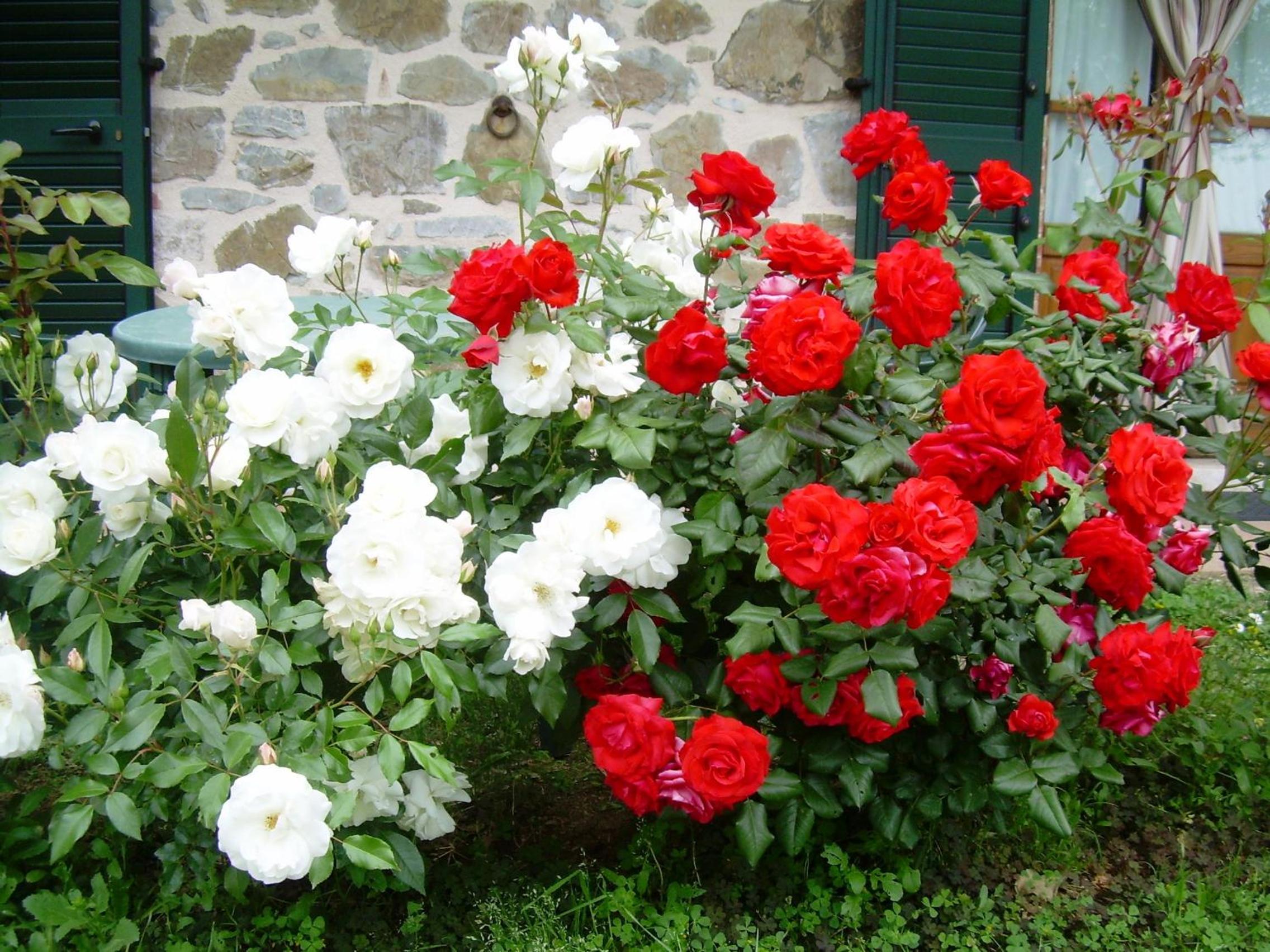 Photo 47