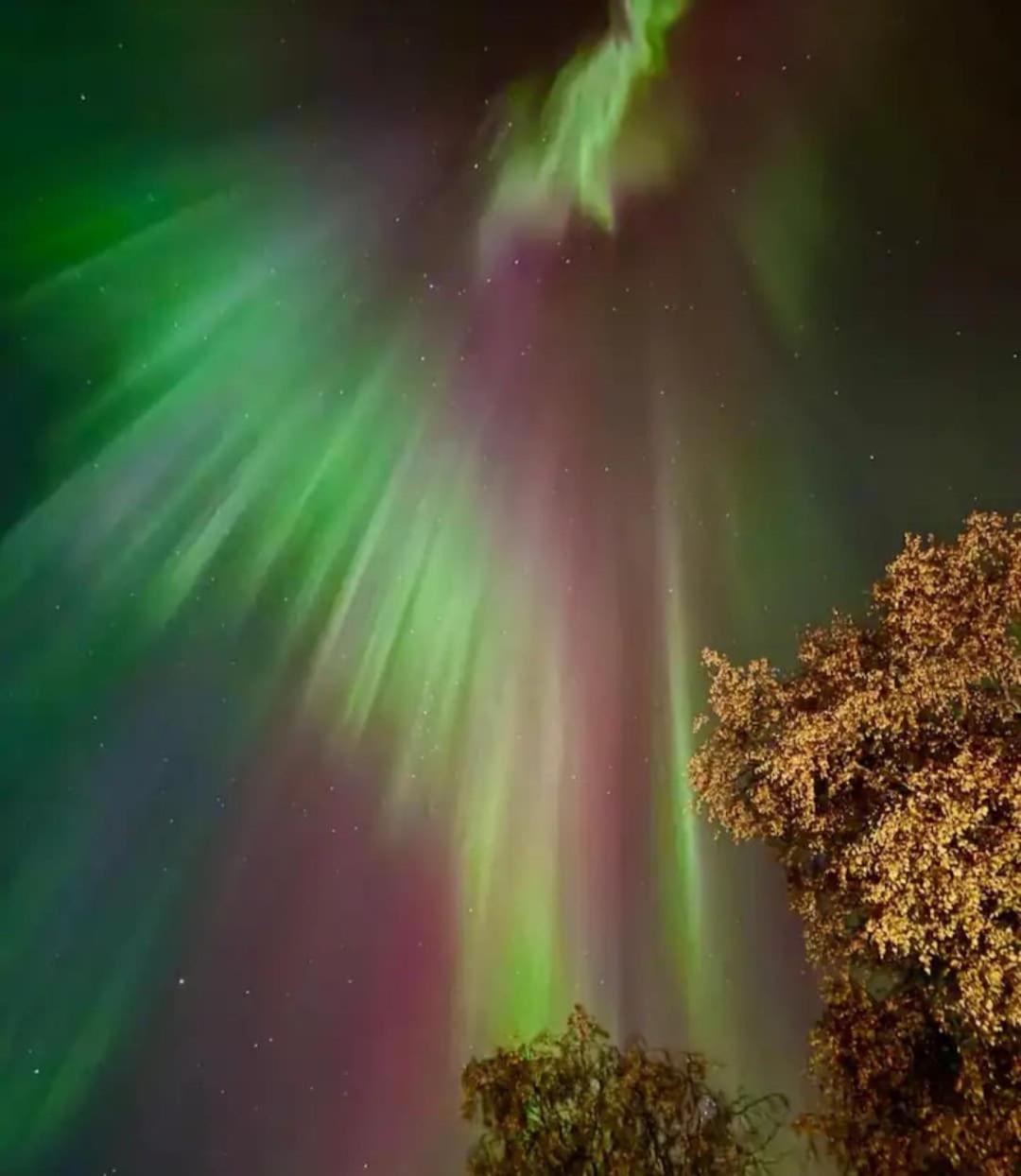 Lapland Villa Ulpukka
