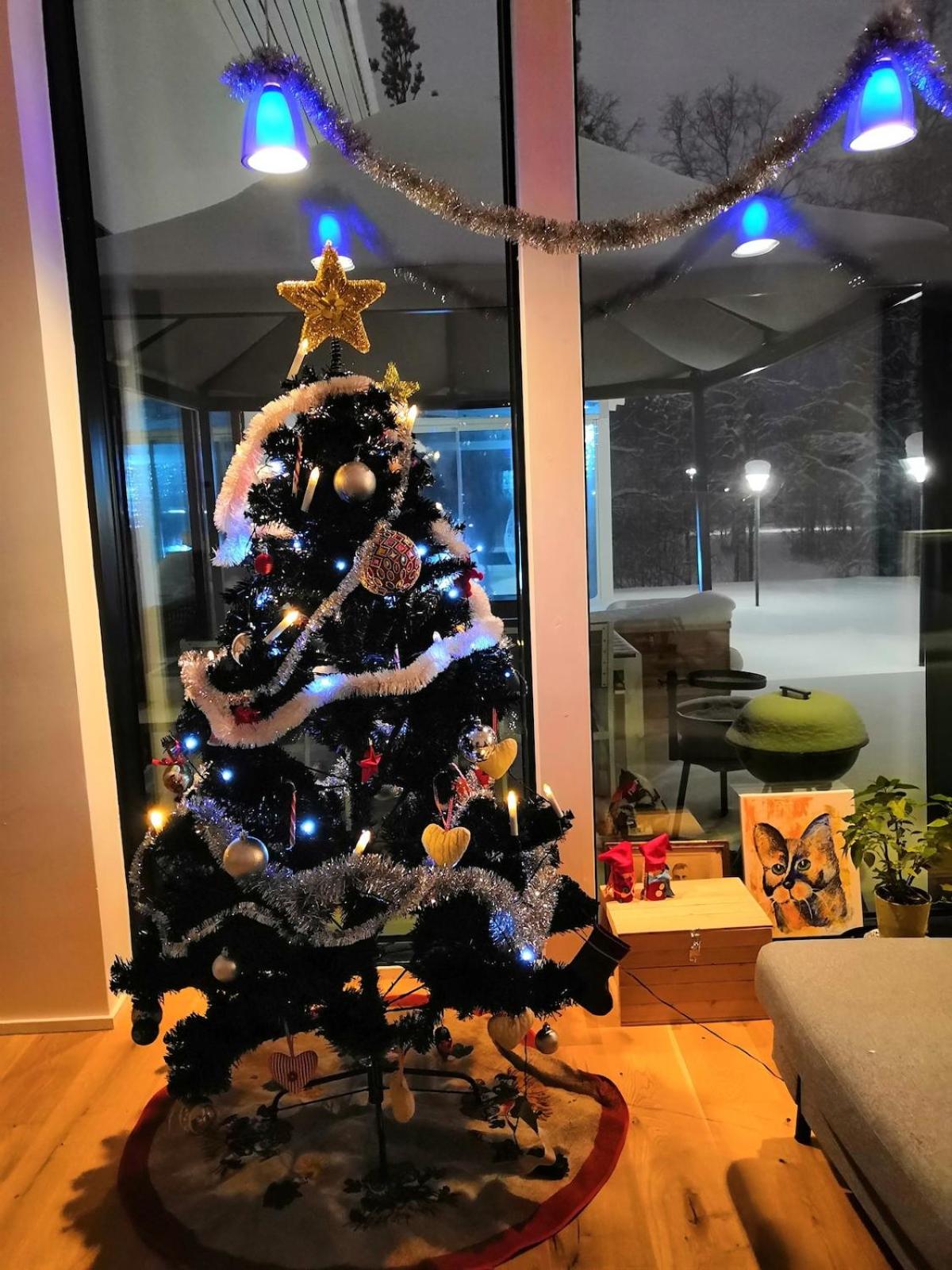 Lapland Villa Ulpukka