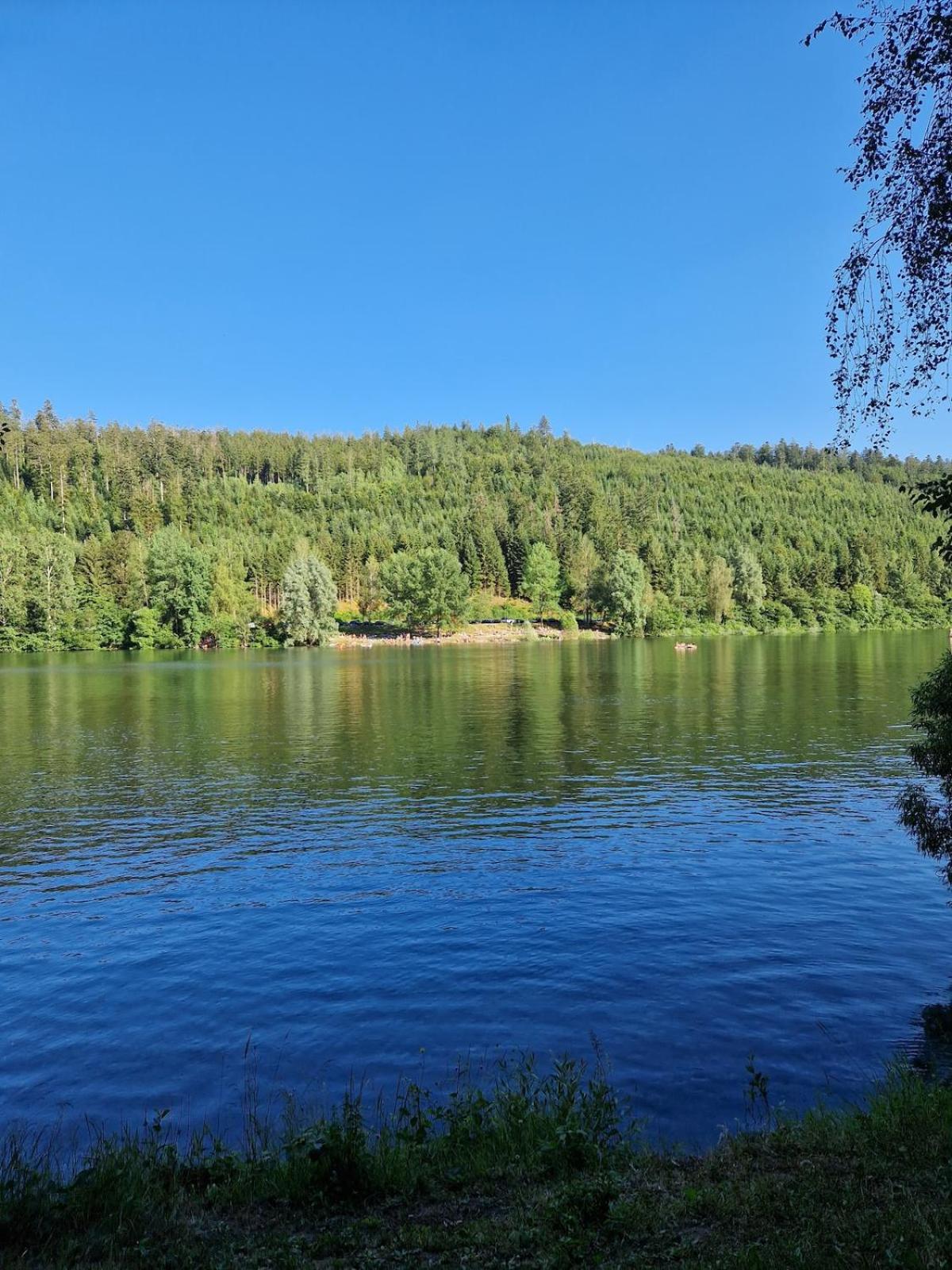 Nature lover's place