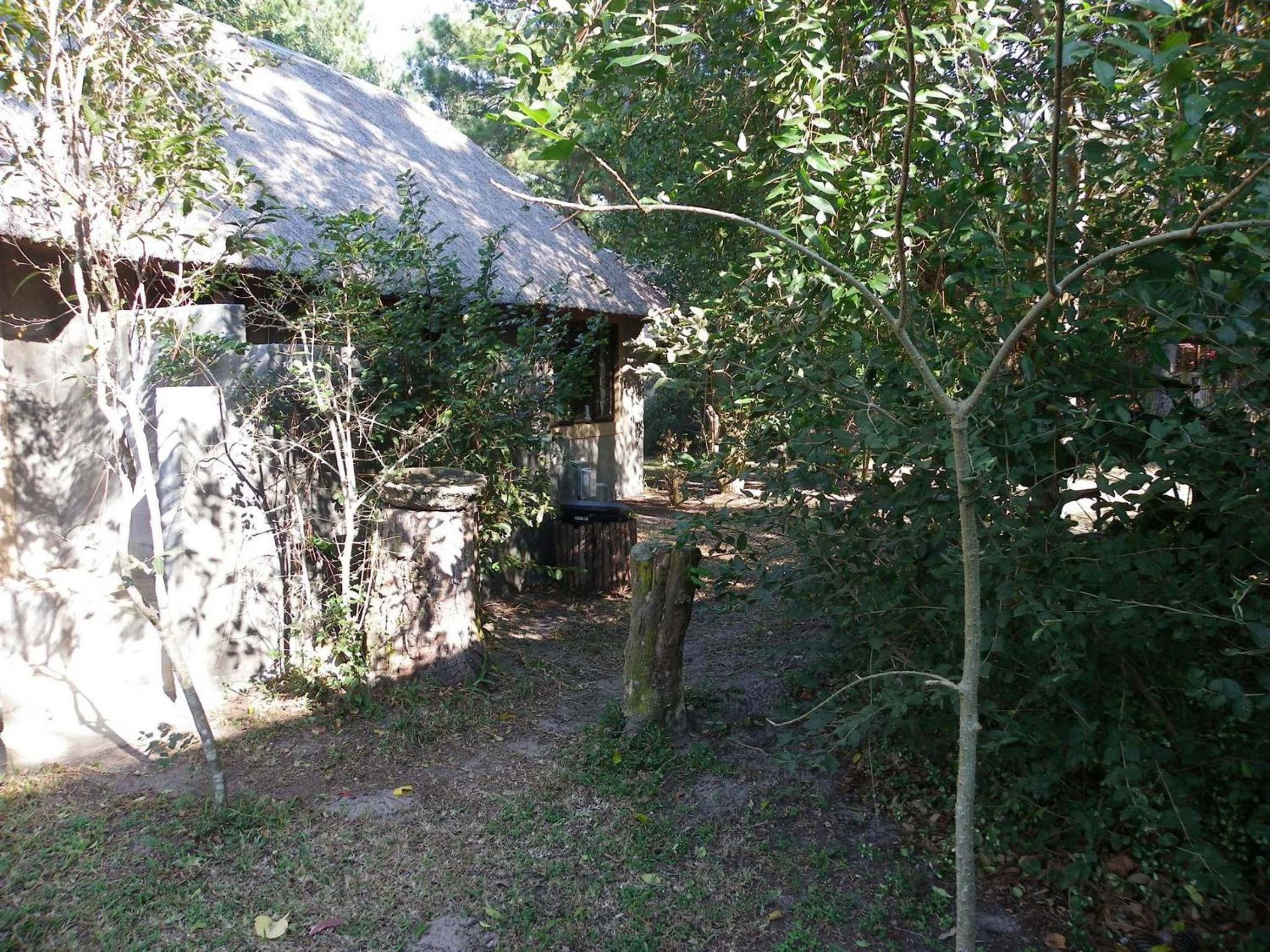 Photo 27