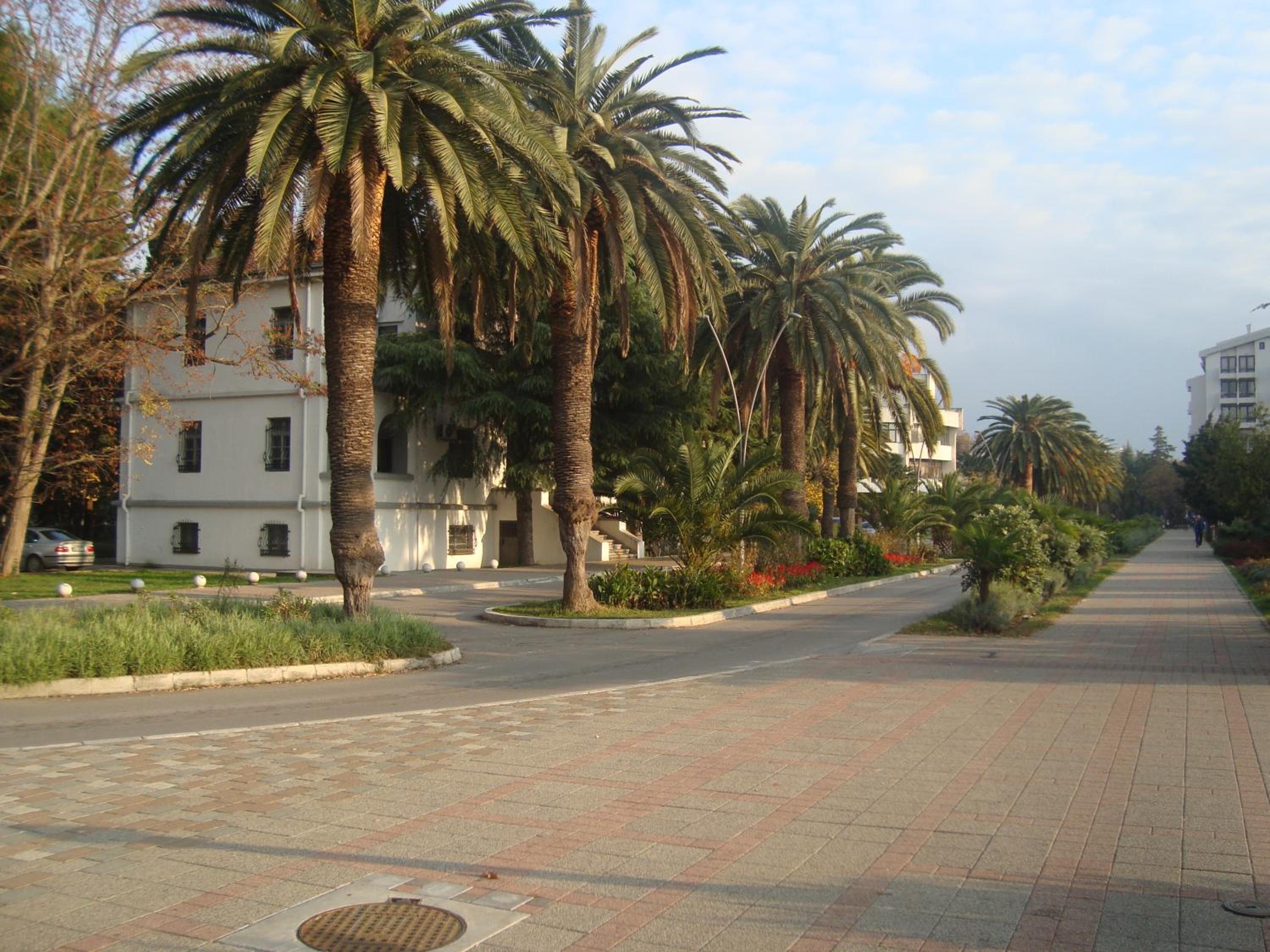 Apartments Kojic