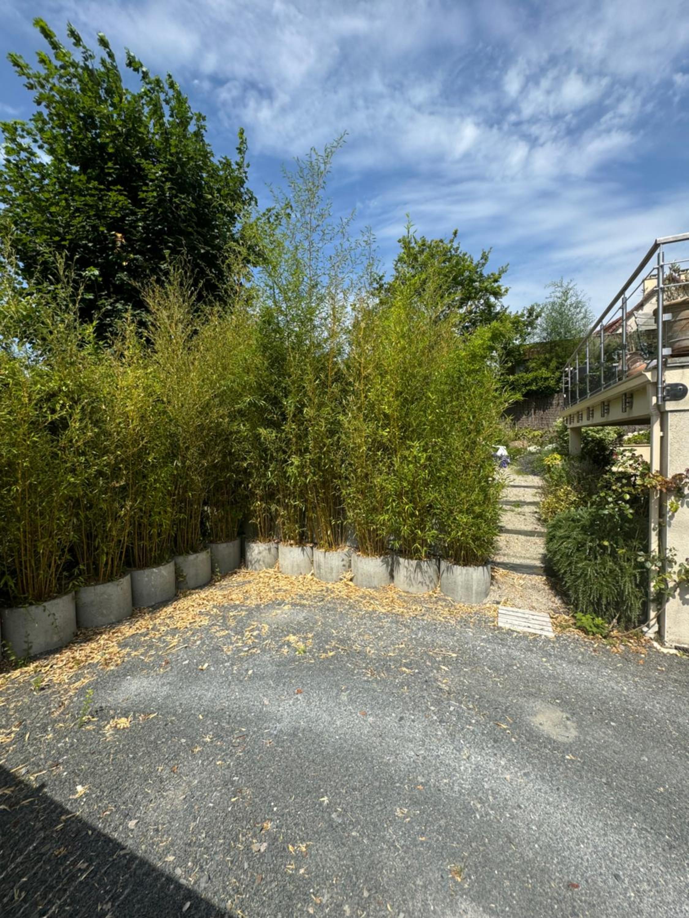 Villa Garcane à 200 m de la mer - Cabourg