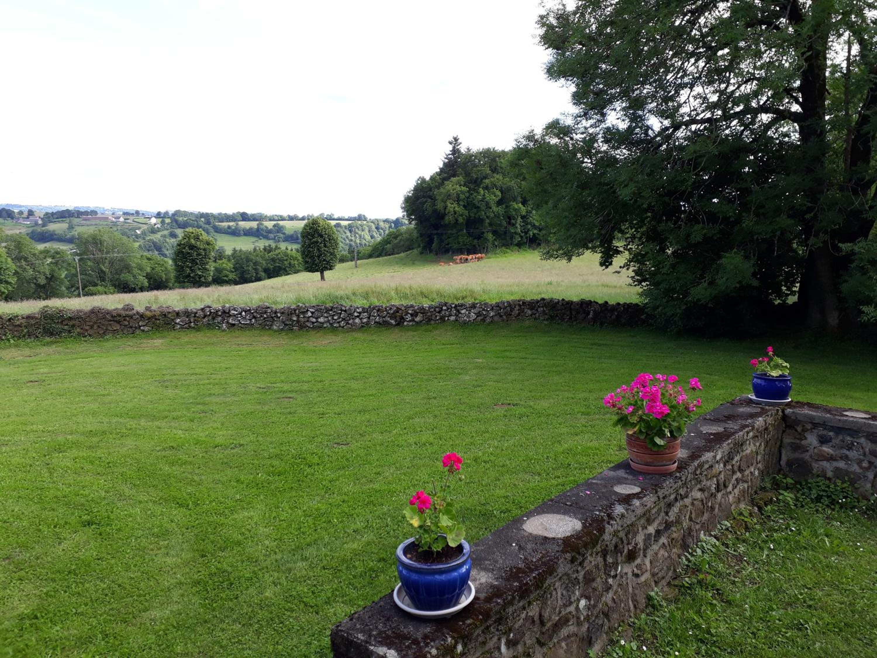 Gîte du Bosquet Pays de Salers Cantal