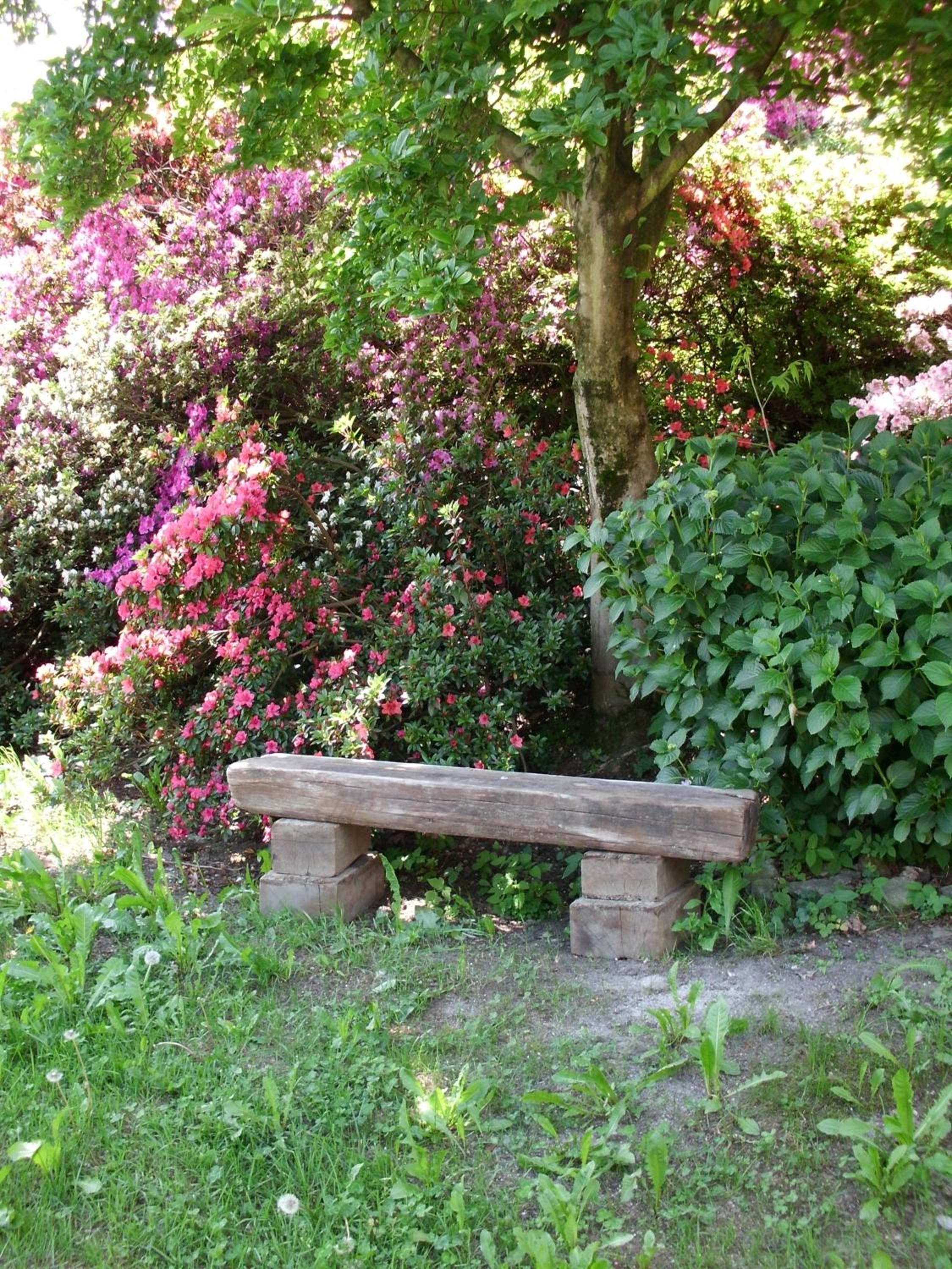 Photo 56