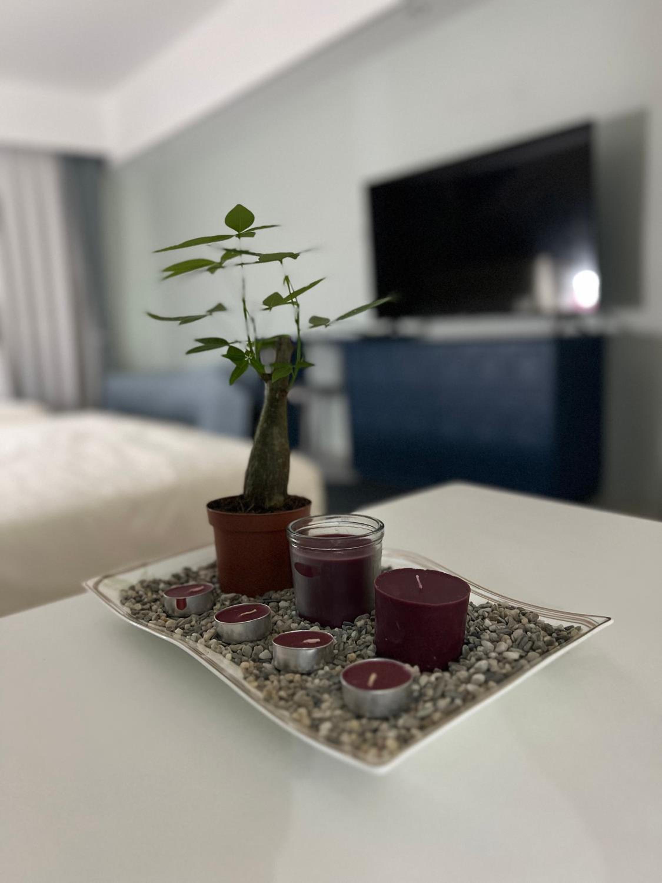Luxurious Style Apartment cross to Okada and near City of Dreams, Solaire, MOA, and Airport