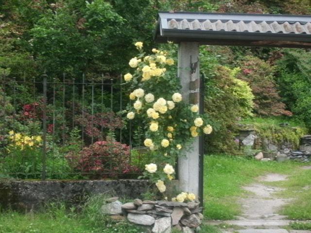 Photo 52