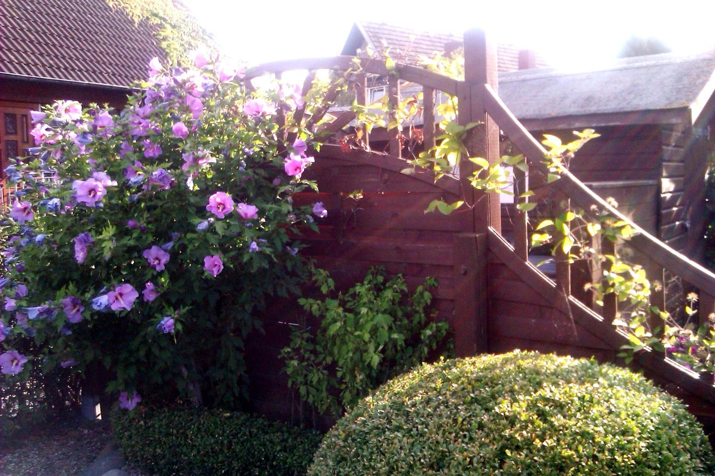 Photo 62