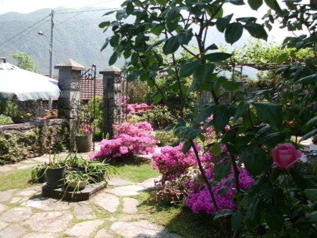 Photo 51