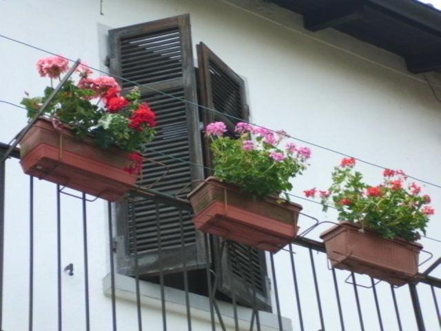 Photo 50