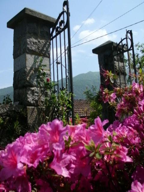 Photo 49