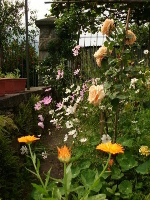 Photo 48