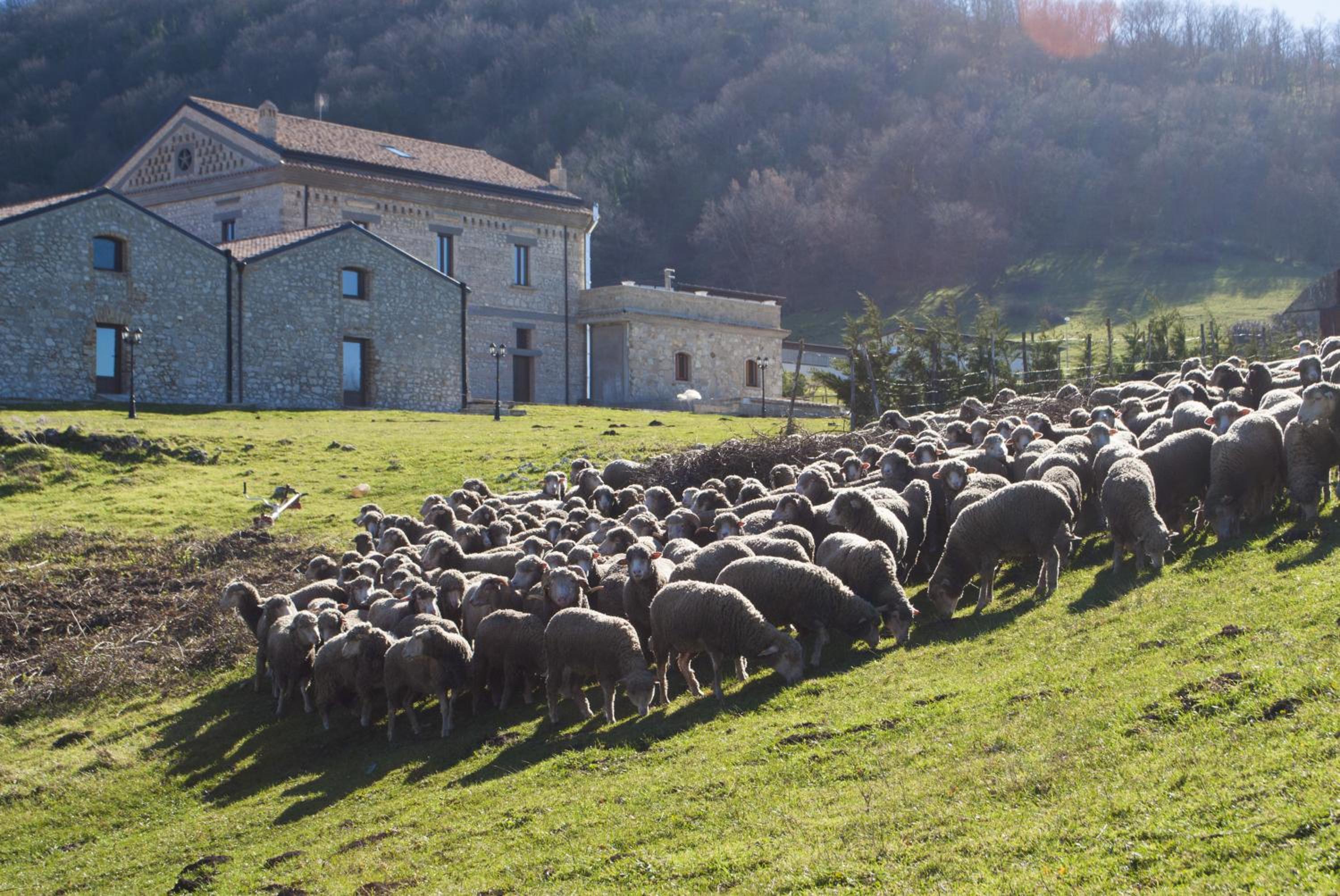 Masseria Salecchia
