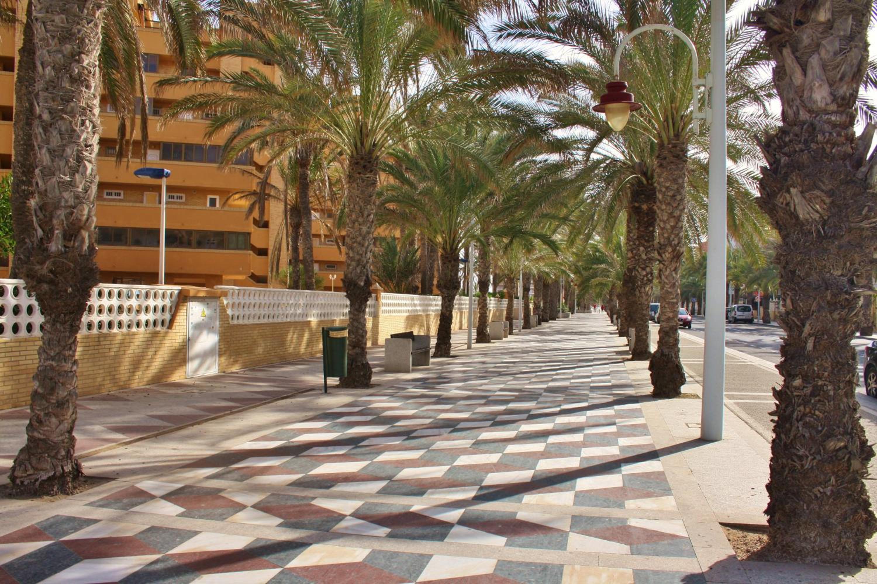 Apartament Playa Arenales view 5