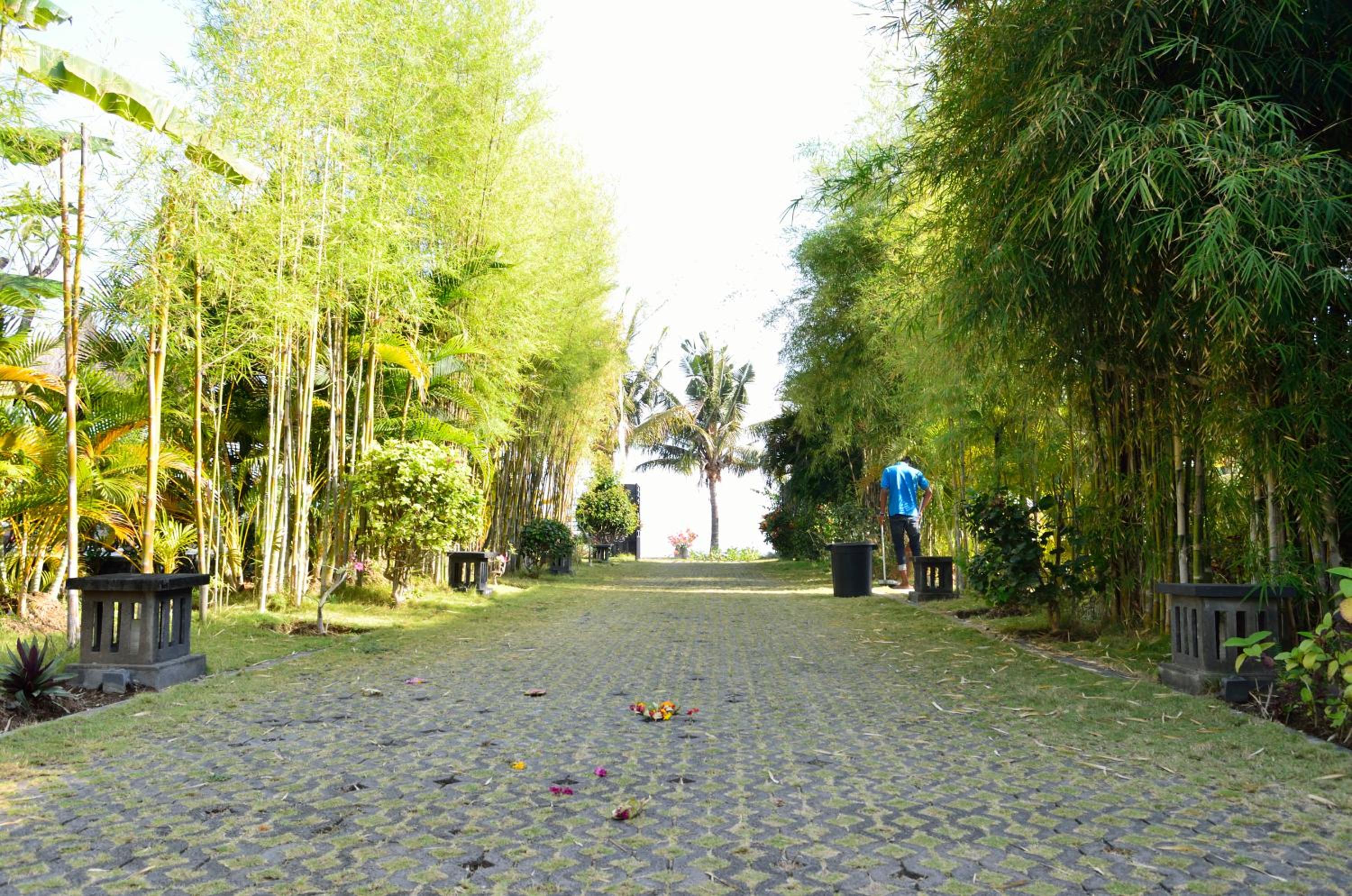 Photo 22