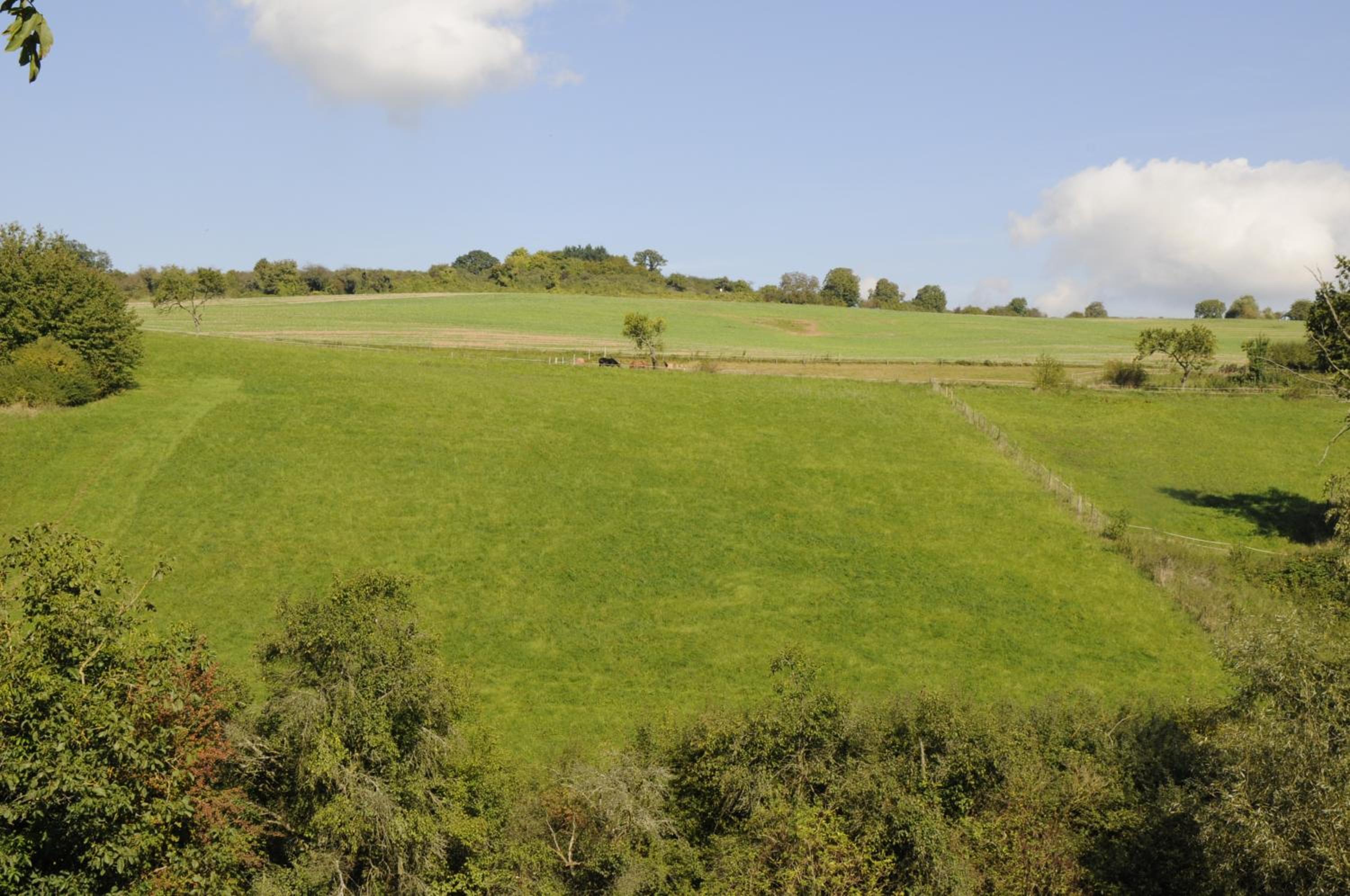 Landgasthof Germania