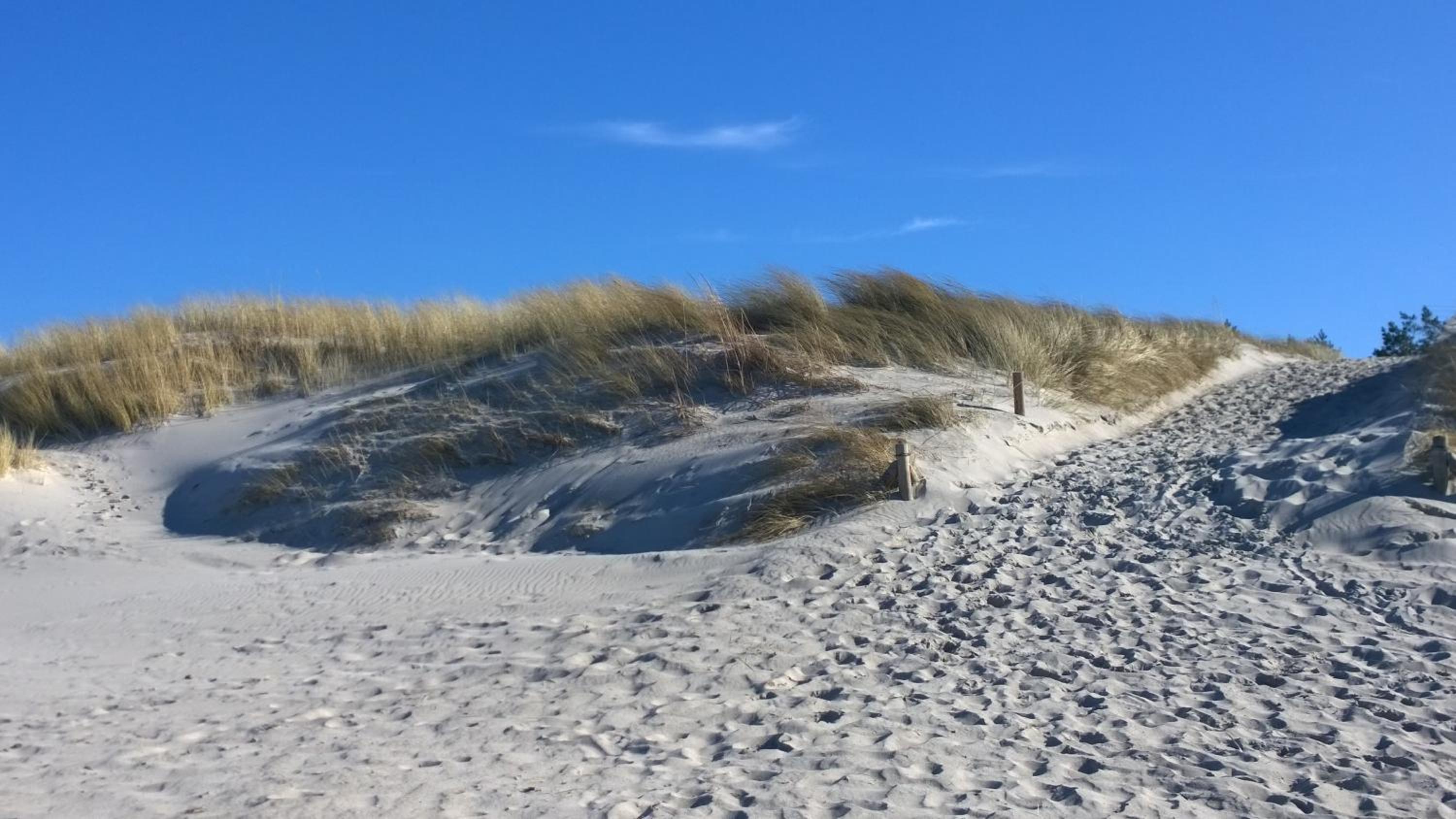 Ostsee Ferienappartement Dierhagen-Strand