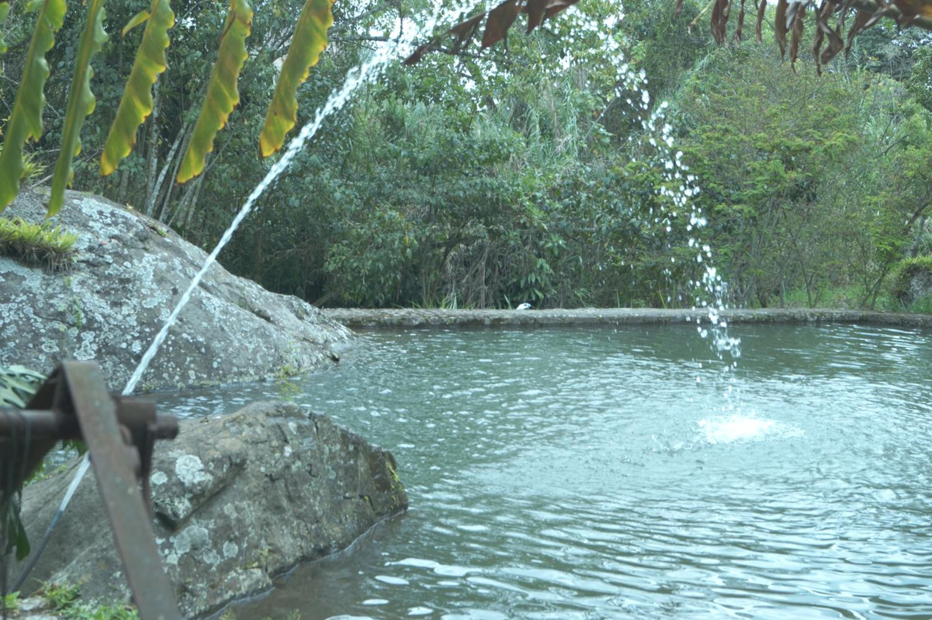 Finca Agualinda