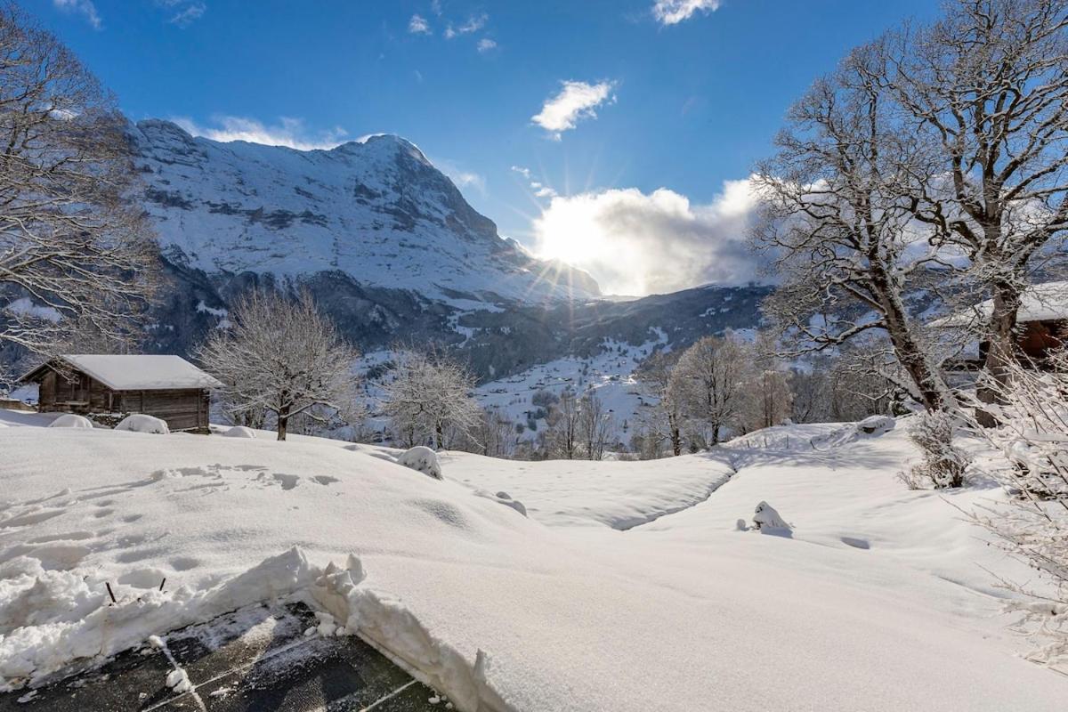 Schürli Apartment - Aare Jungfrau AG