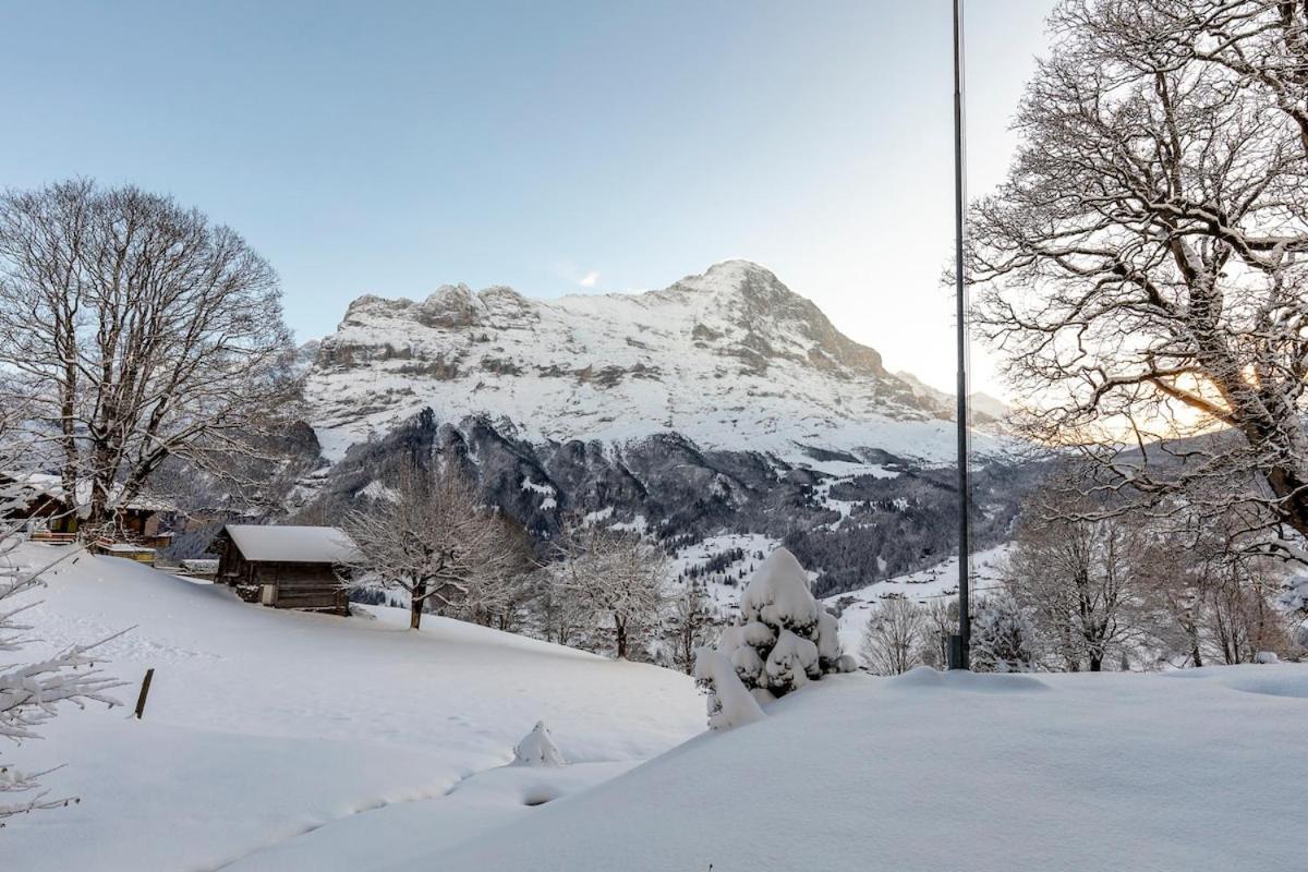 Schürli Apartment - Aare Jungfrau AG