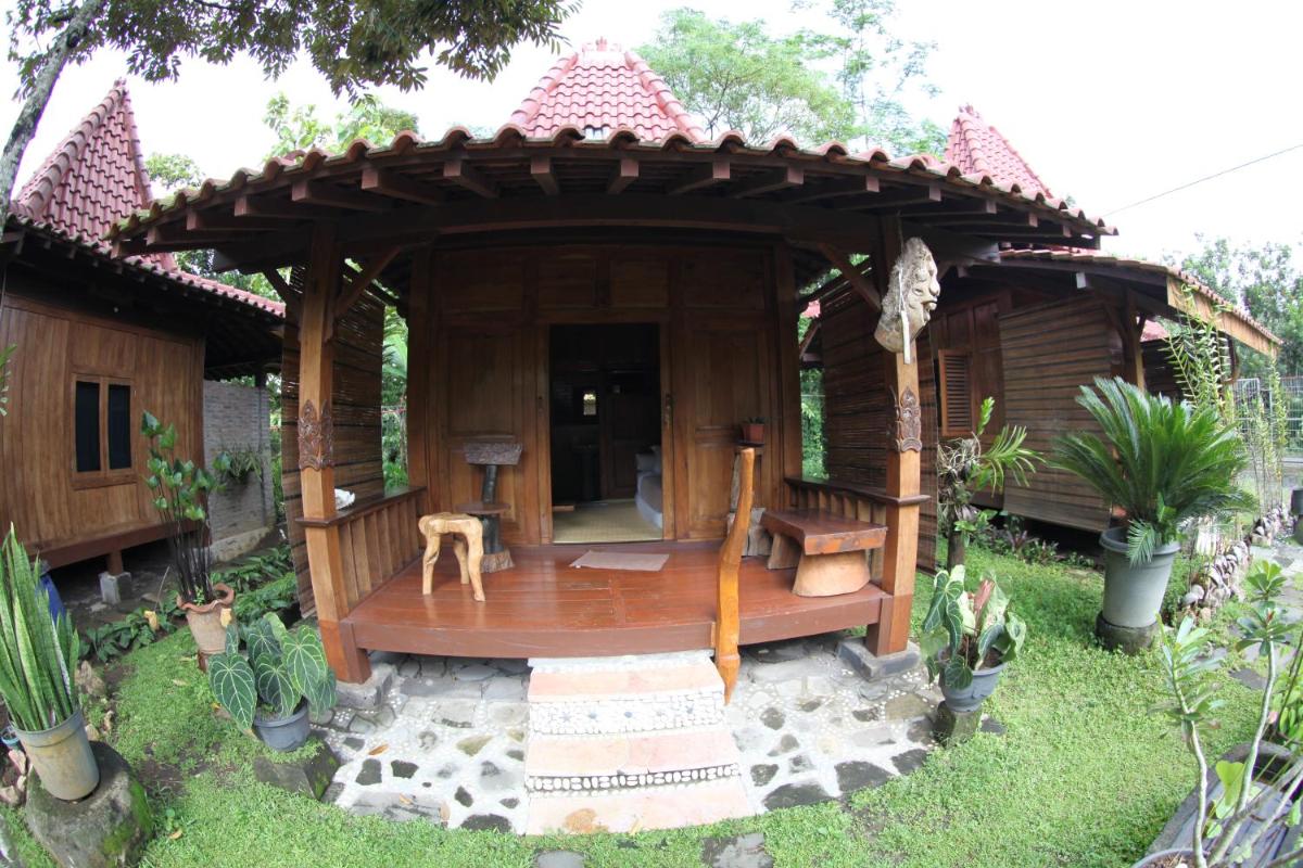Photo 8