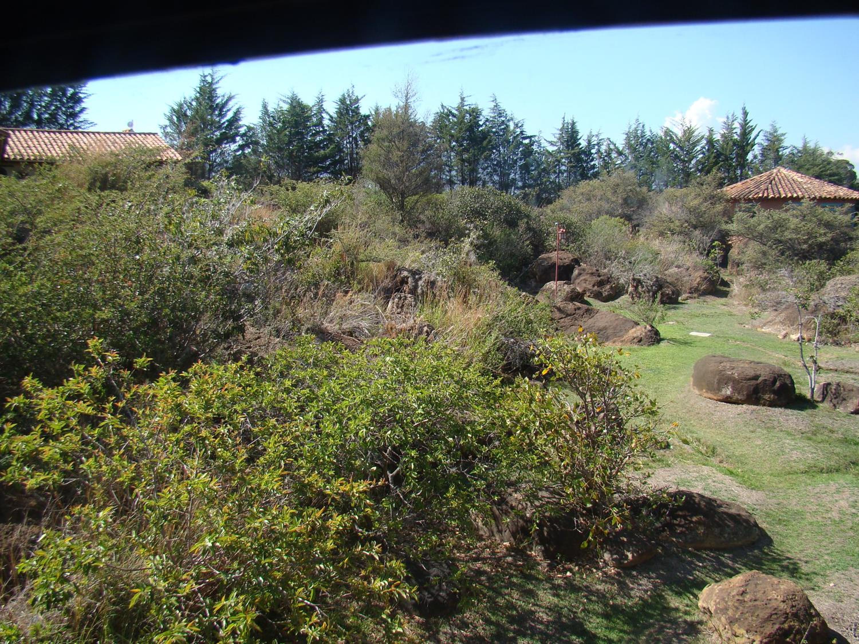 El Hayuelo Ecolodge