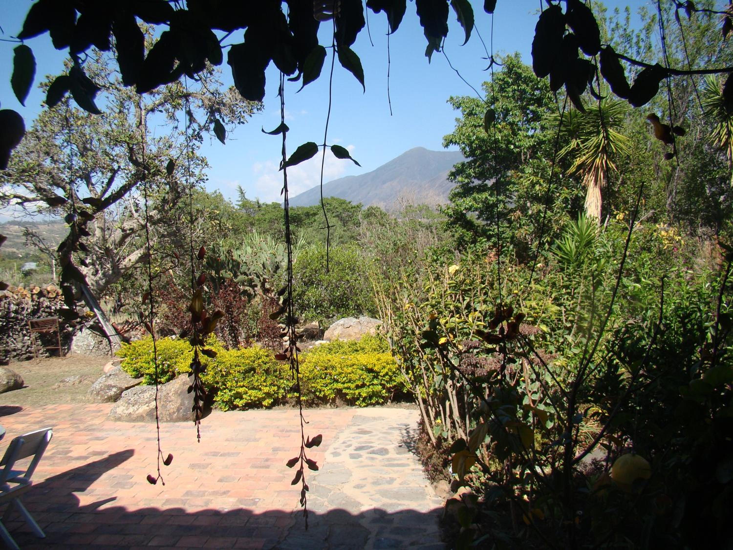 El Hayuelo Ecolodge