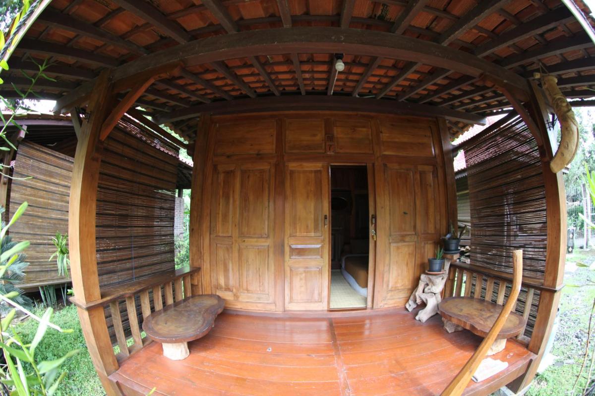 Photo 11