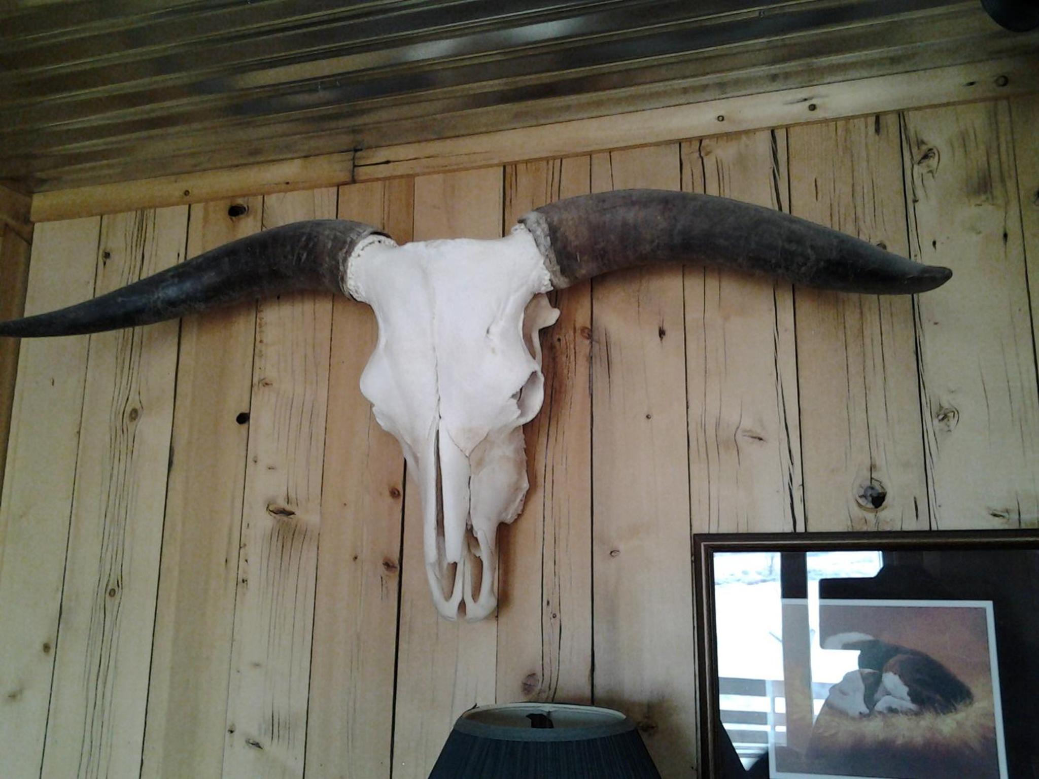 K3 Guest Ranch