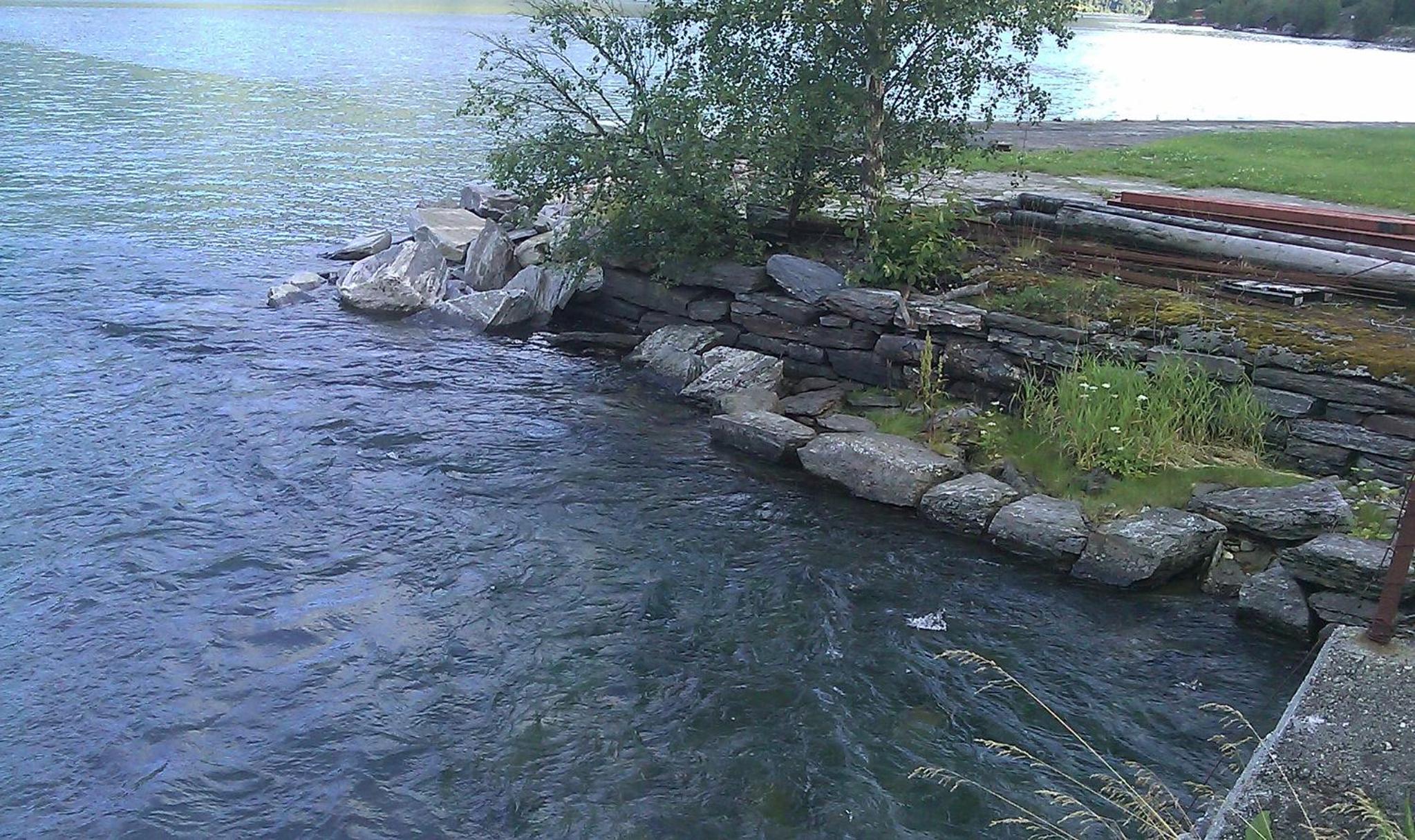 Photo 23