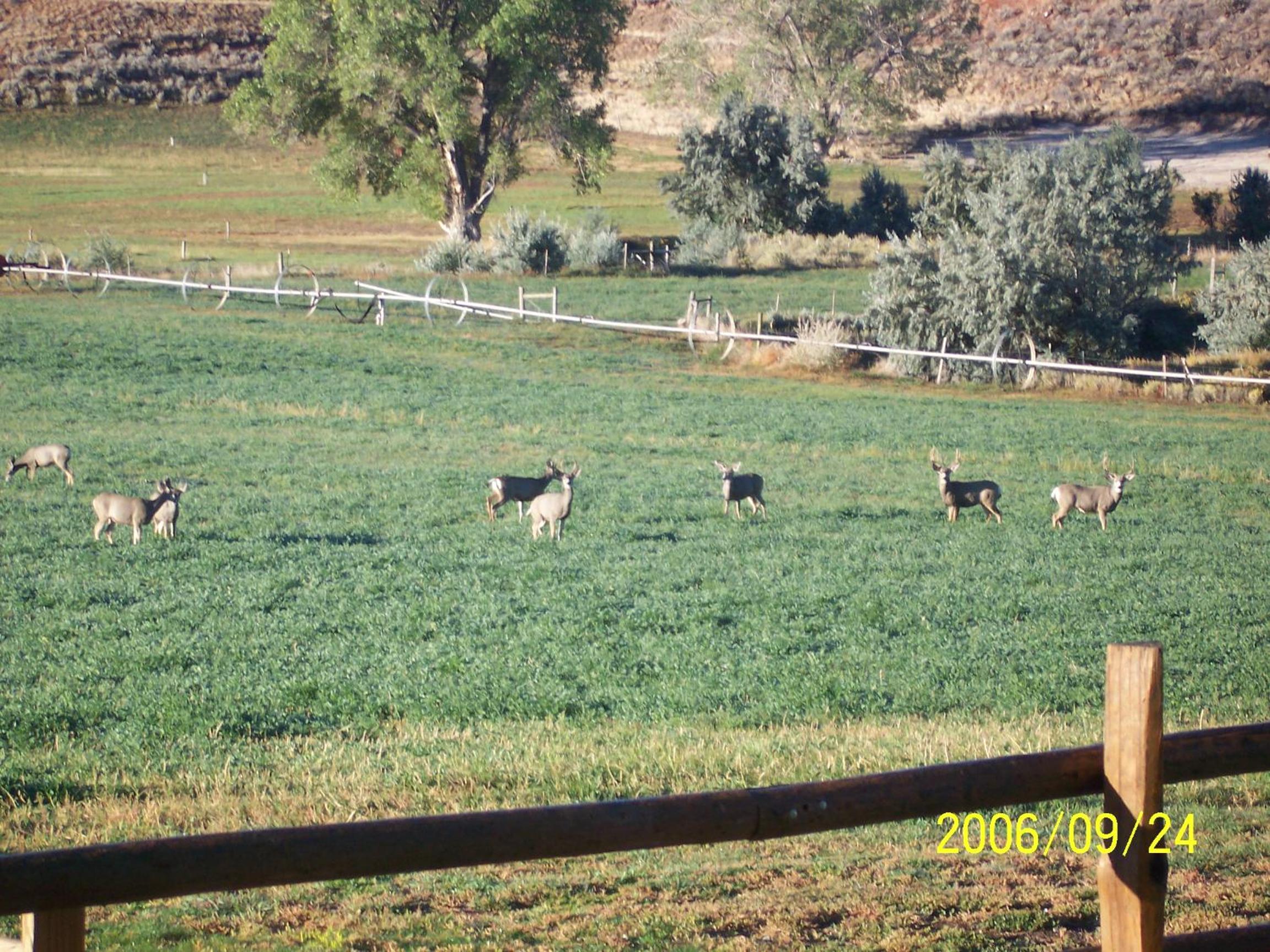 K3 Guest Ranch