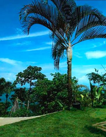 Casa Vista al Mar