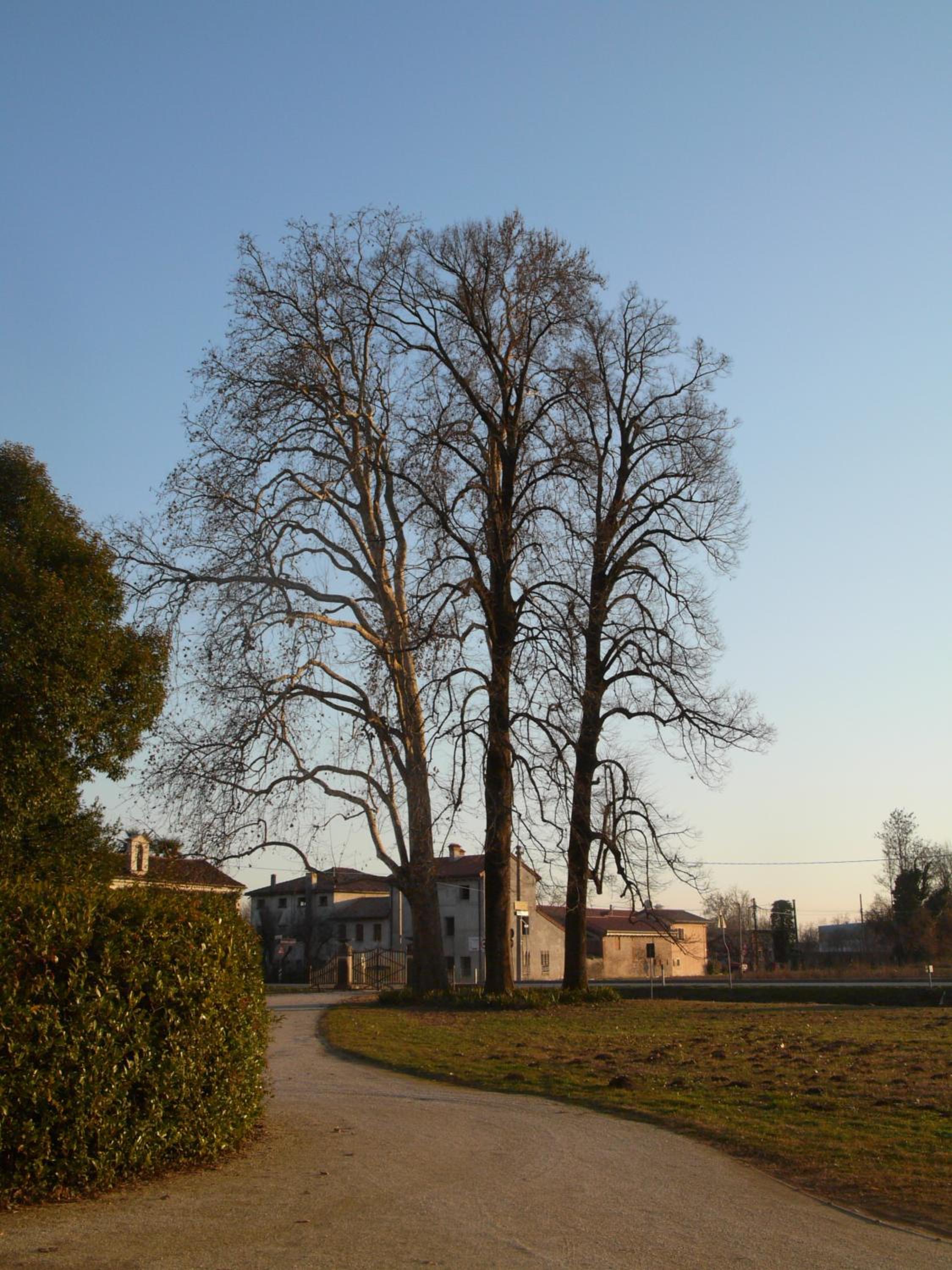 B&B Giardino Jappelli (Villa Ca' Minotto)
