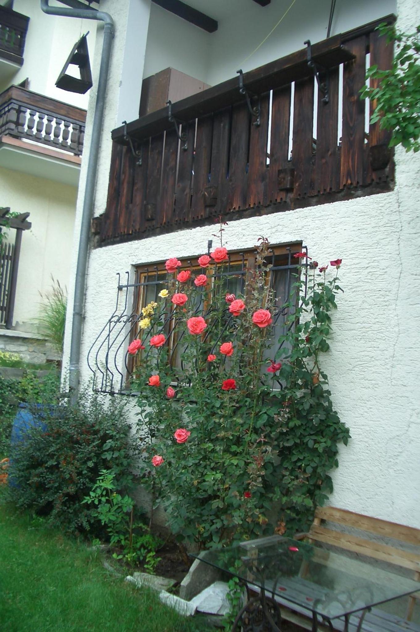 Photo 26