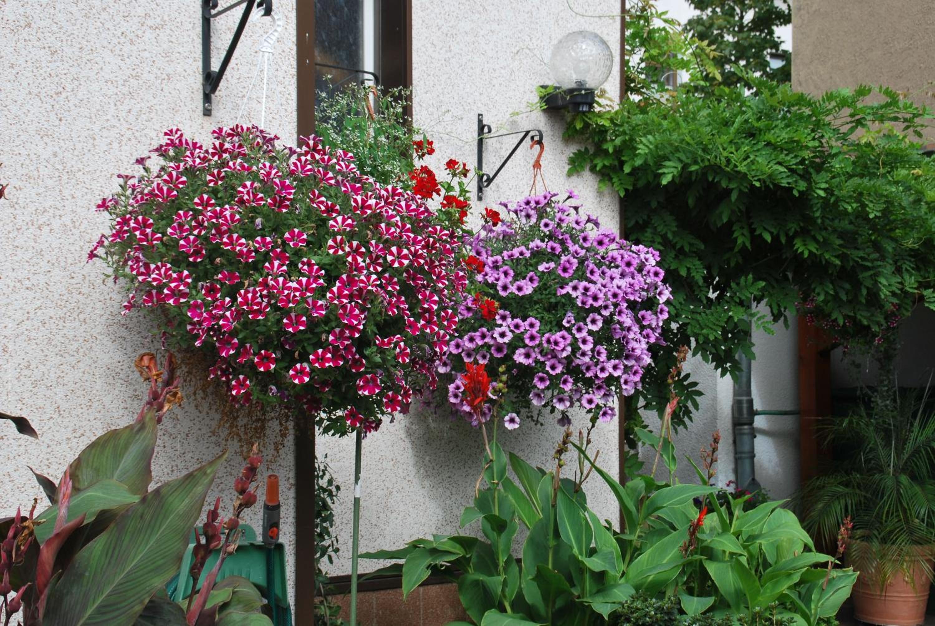 Pension Borna - Property Image 20