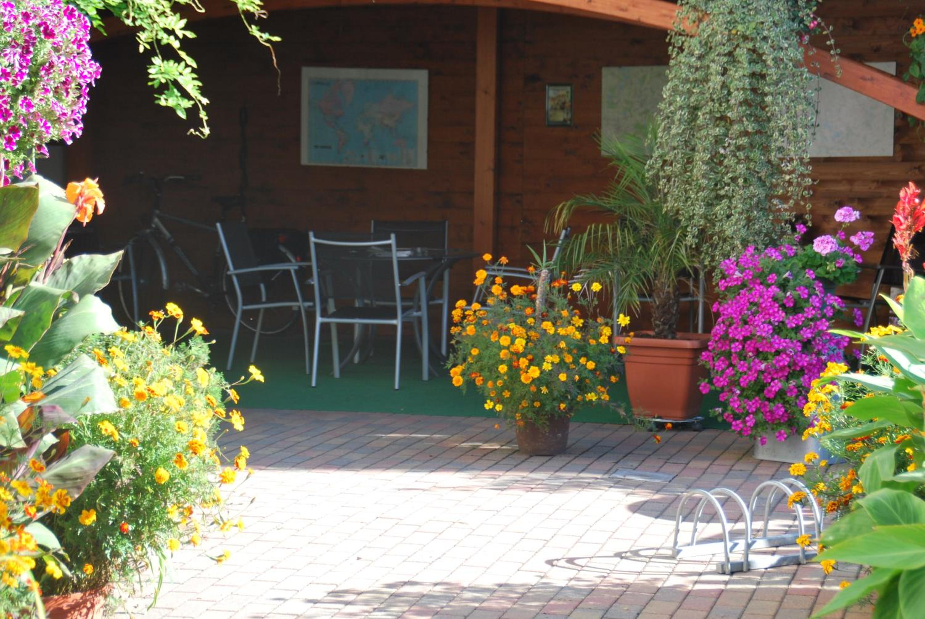 Pension Borna - Property Image 19