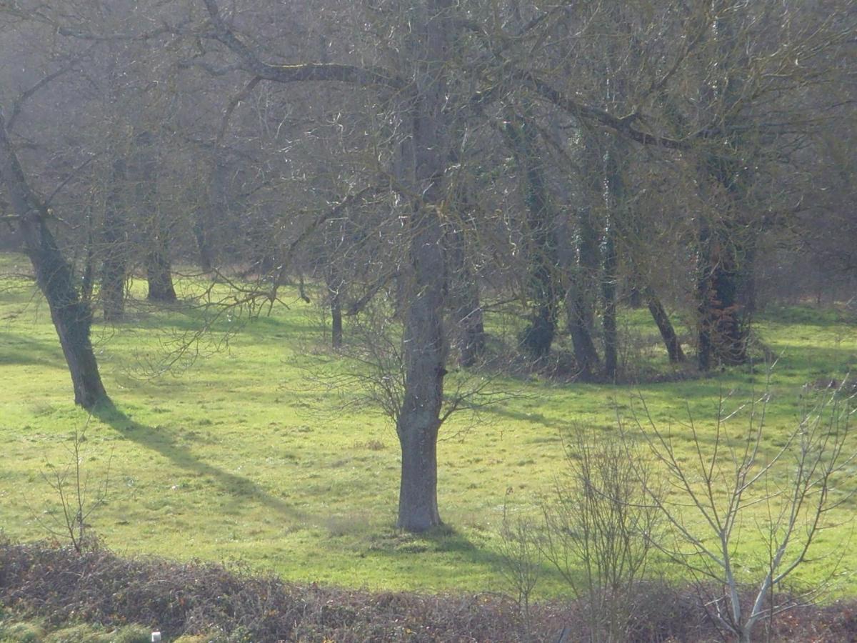 children's play area