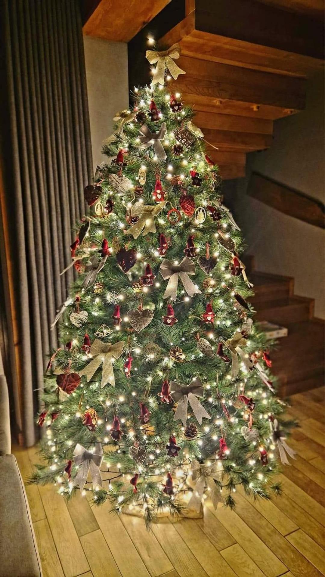 Photo 24