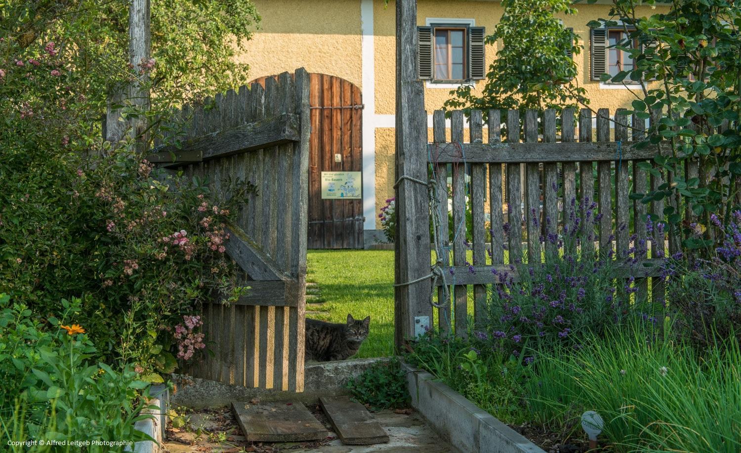 Weslhof