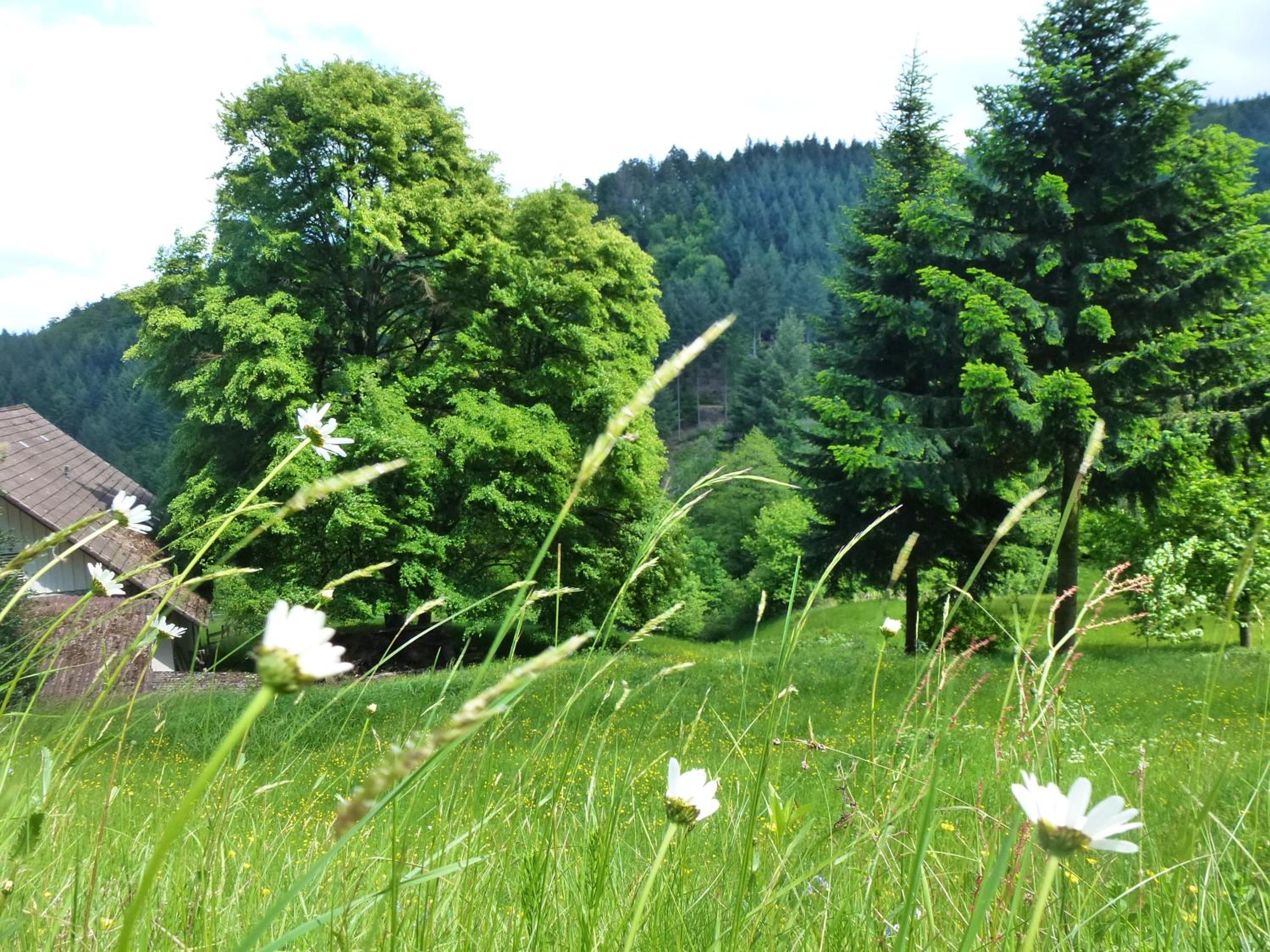 Baumanns Landhaus Durbach