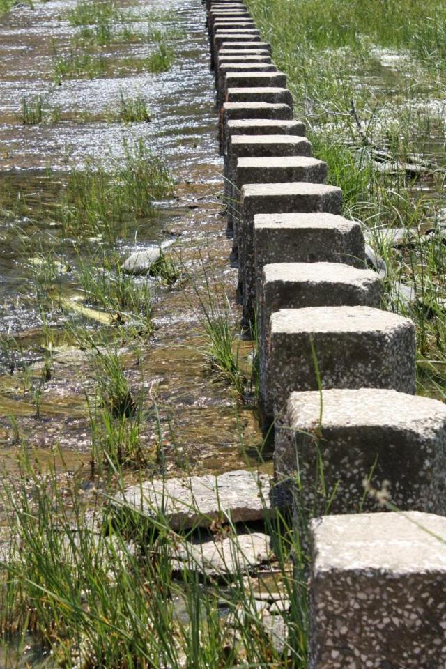 Photo 32