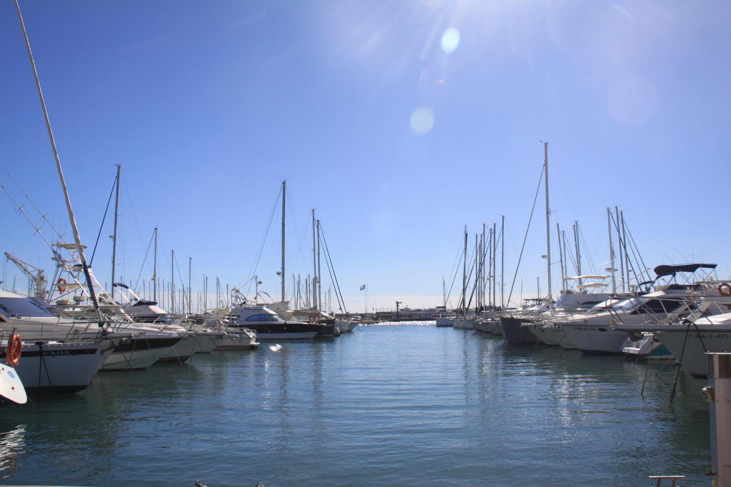 Al Centre Del Port photo 4
