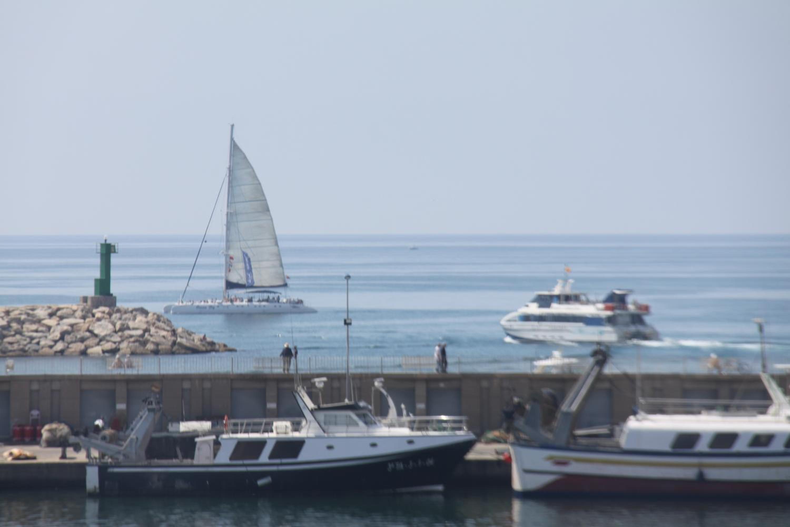 Al Centre Del Port photo 5