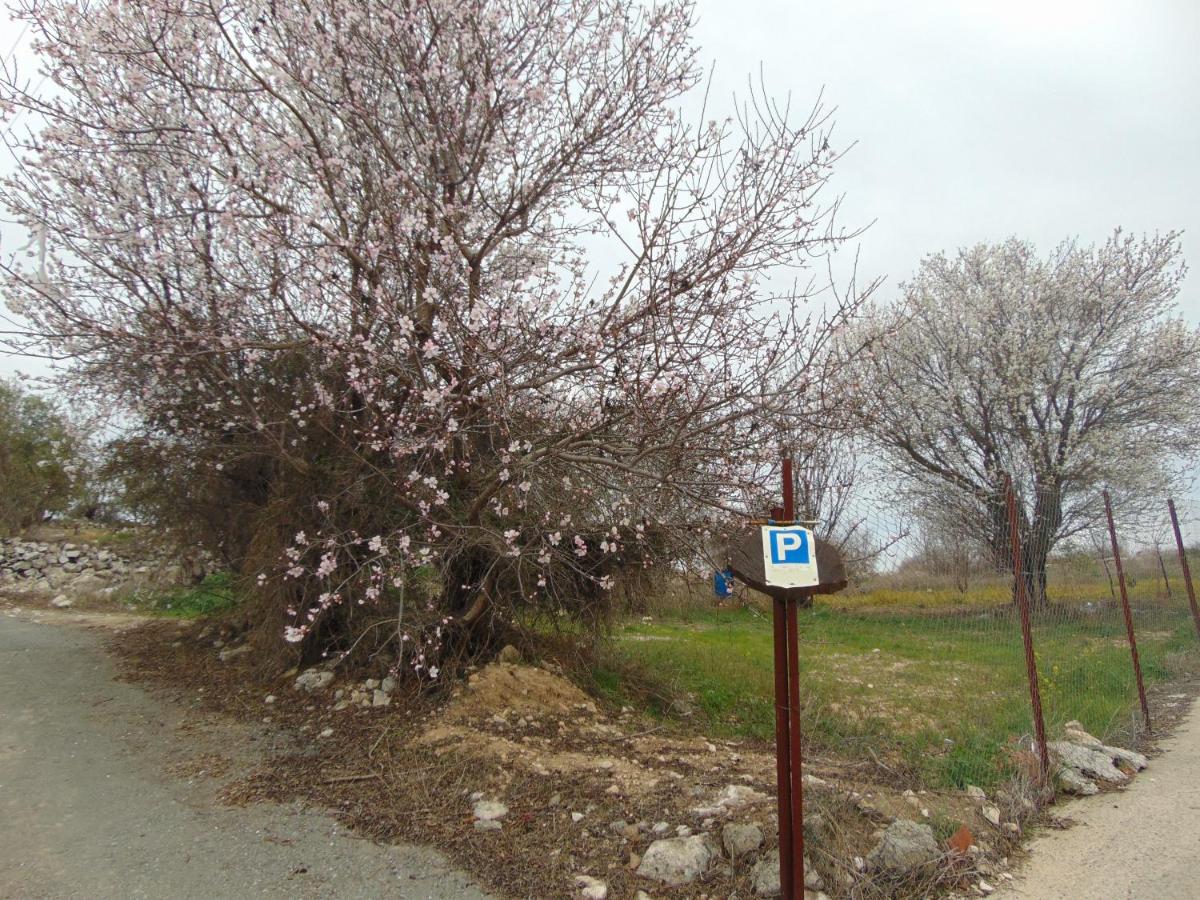 Walnut Grove