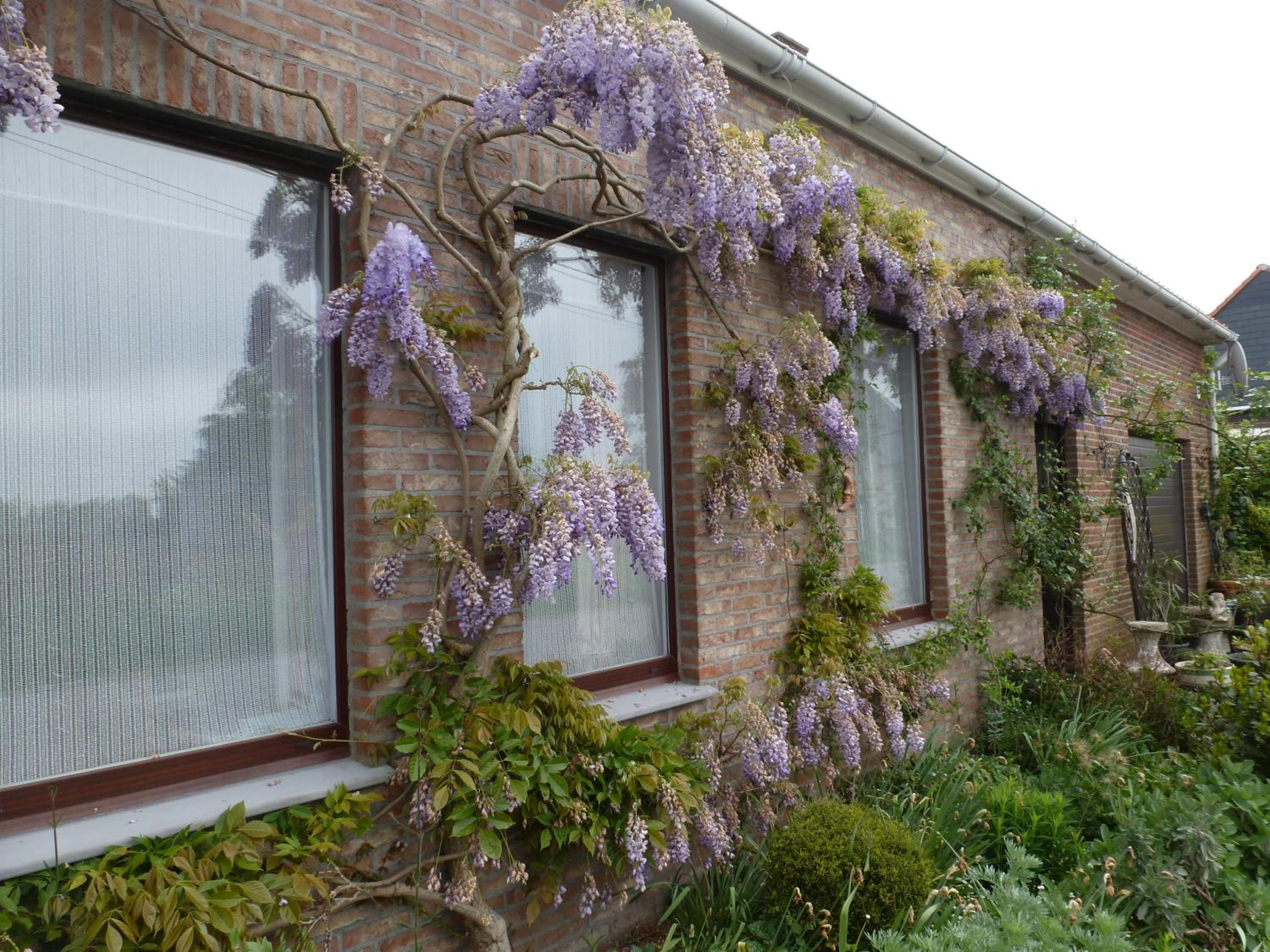 Guesthouse Kolibriehuys