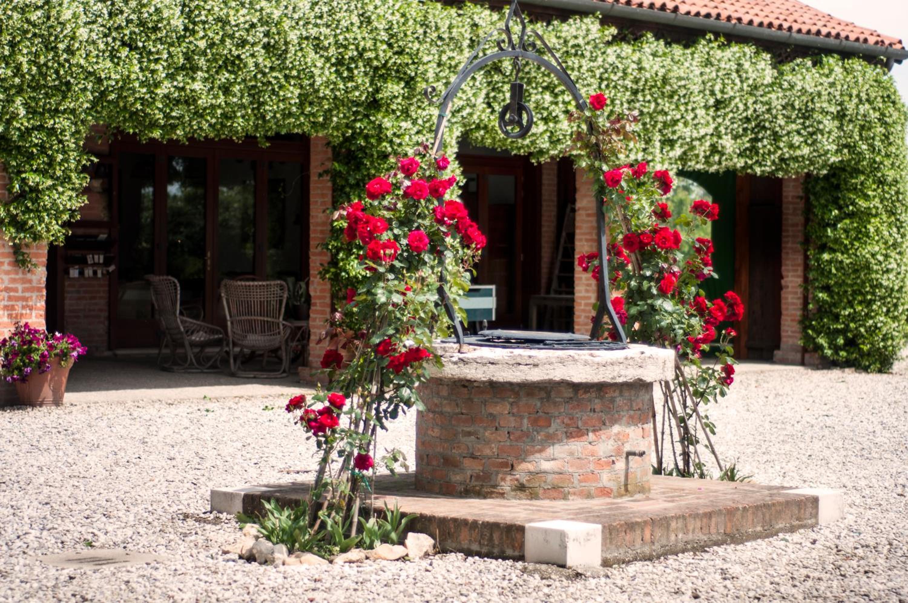 Agriturismo Santa Barbara view 5