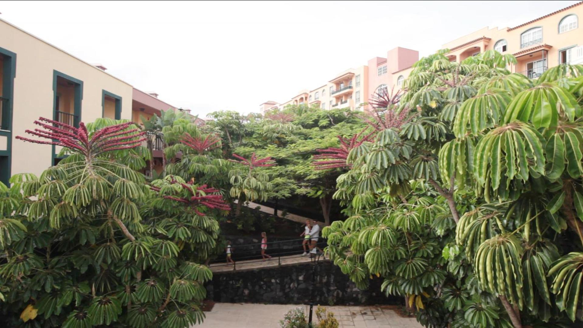 Hotel-Apartamento Las Olas view 4