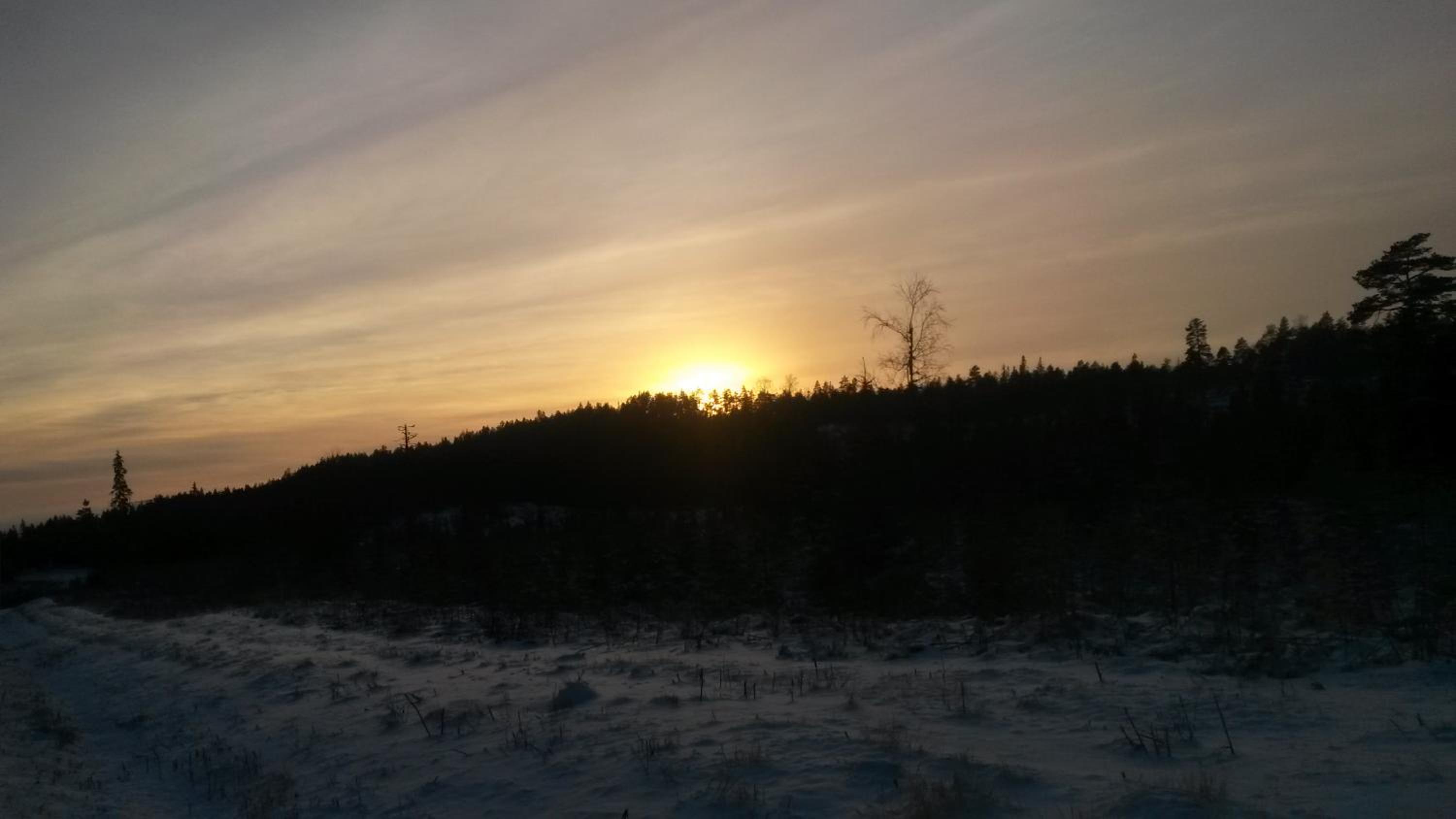 Photo 32