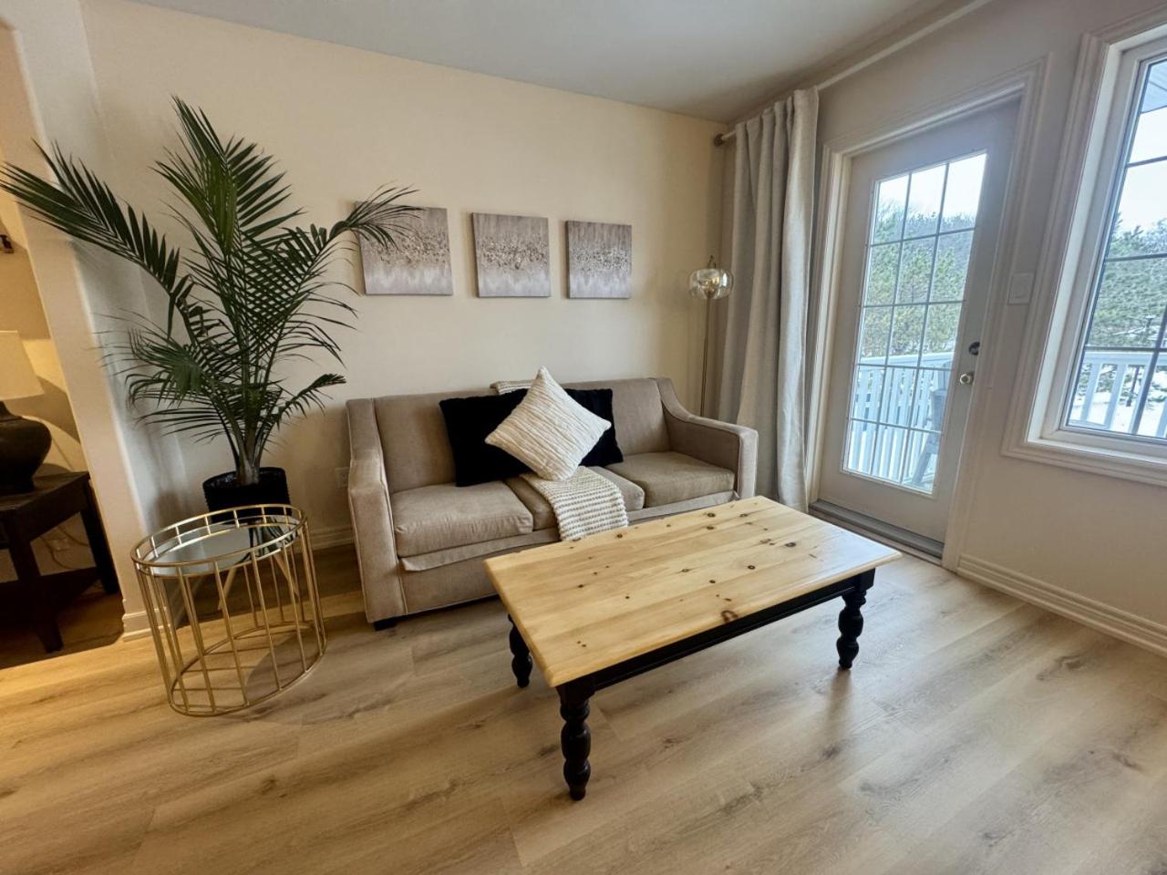 Newly Renovated Ski-In Ski-Out 1-Bedroom Condo with Pool, Gym, Sauna by Horseshoe Valley